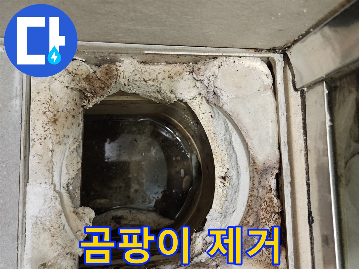 금호동2가 신금호파크자이 욕실 유가 주변 곰팡이 제거 - 쾌적한 환경
