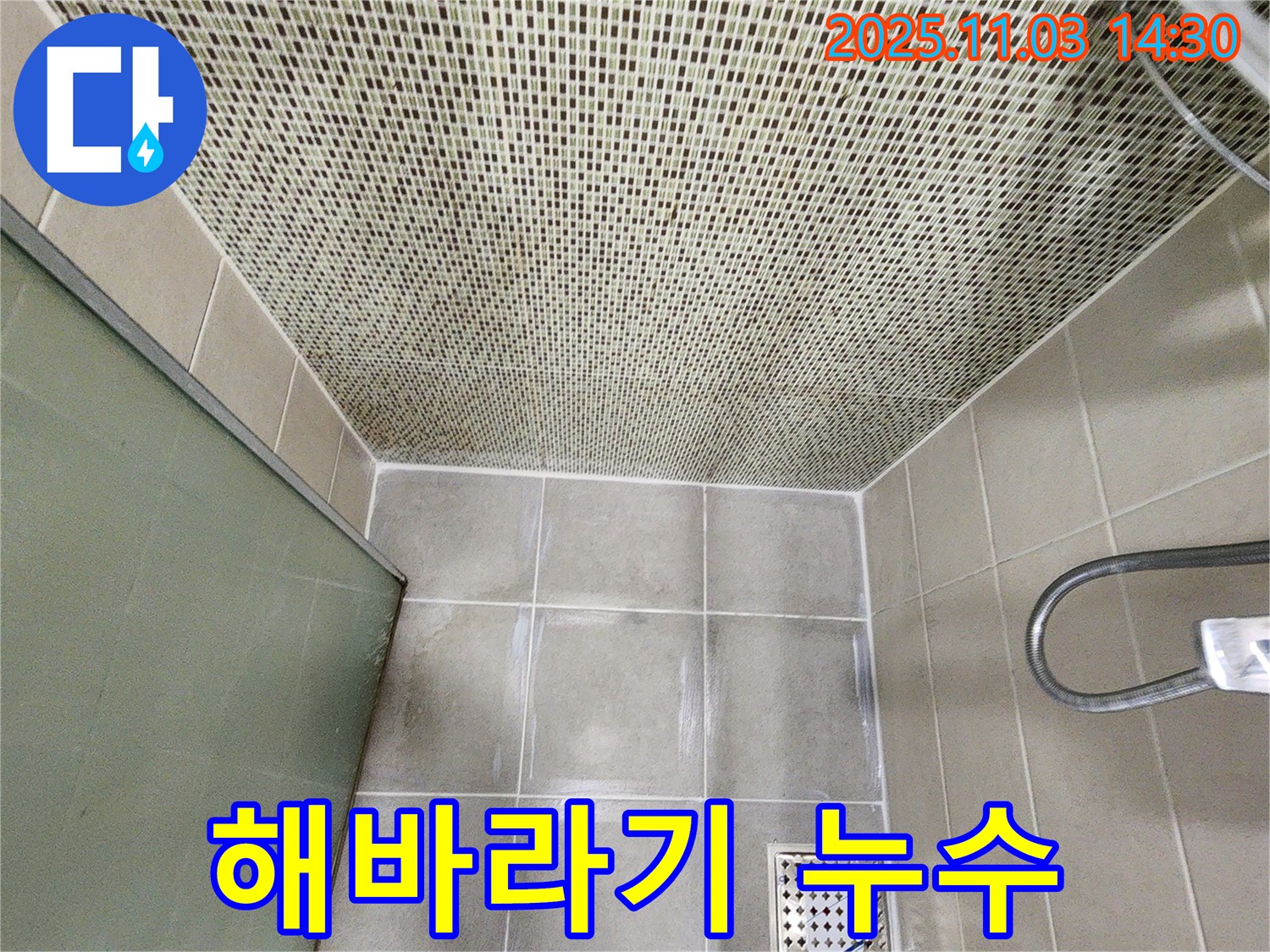 샤워기 해바라기 샤워기 누수 - 연결 부위 조임 & 고무 패킹 교체로 간단 해결!