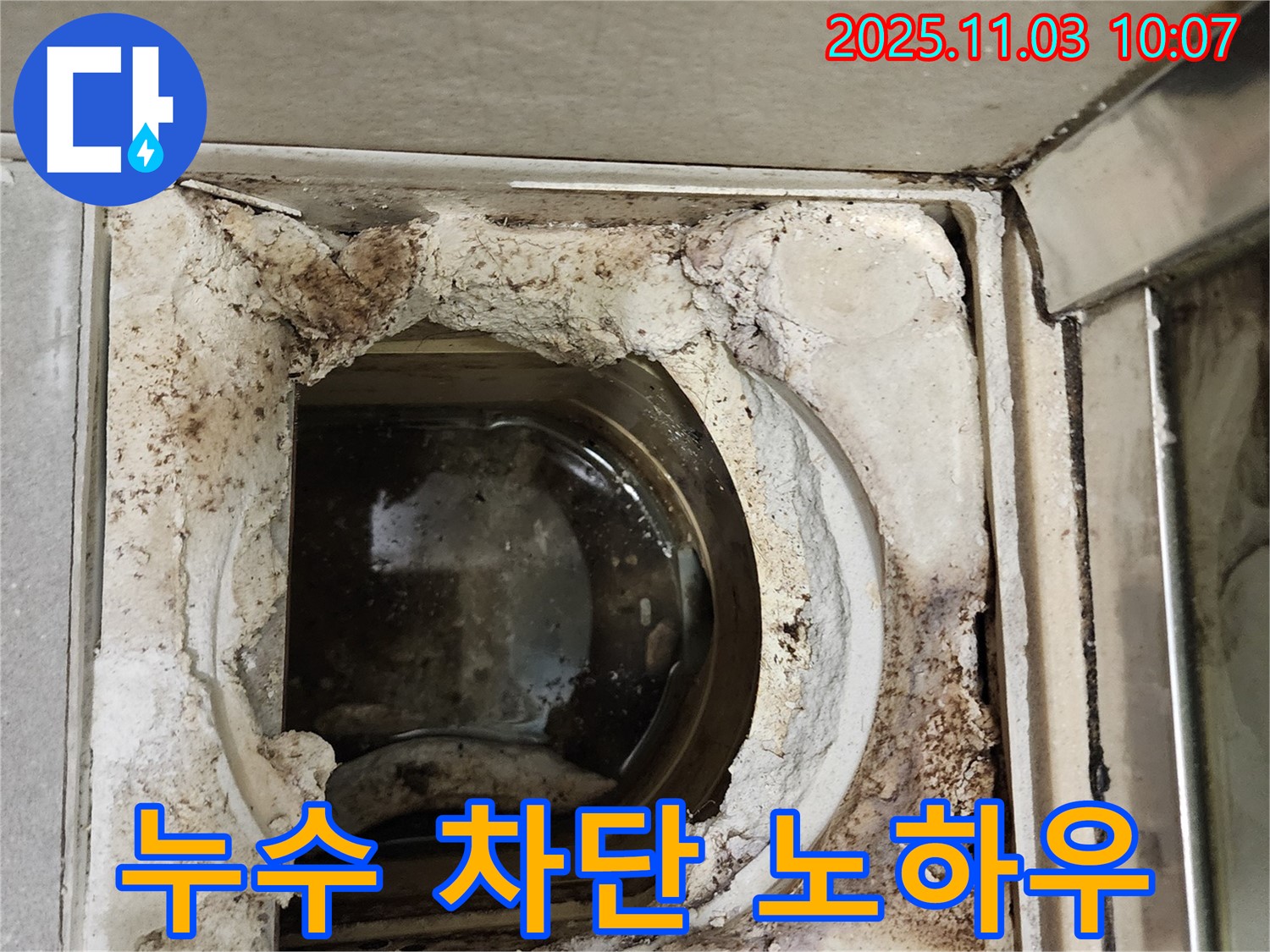 성동구 신금호파크자이 욕실 - 배수구 누수 완벽 차단 성공