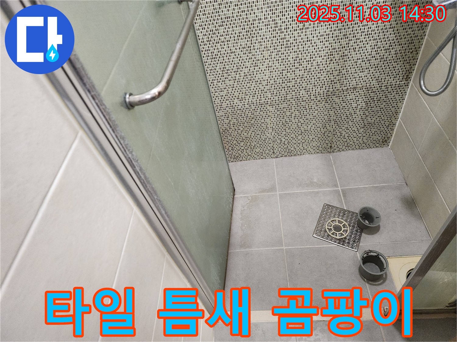 신금호파크자이 샤워부스 - 배수구 주변 타일 틈새 곰팡이 발생 및 제거 작업