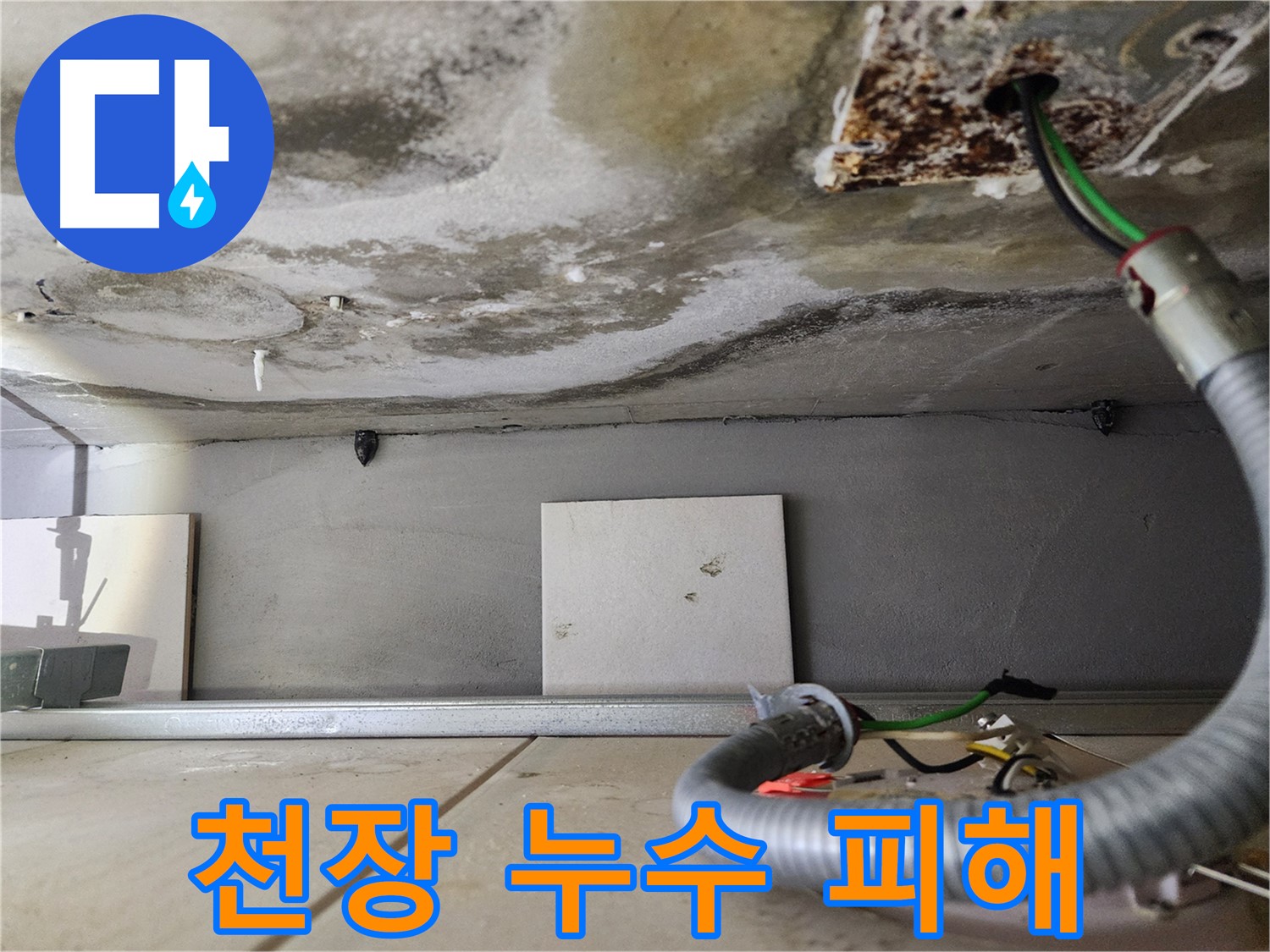심각한 천장 누수 - 곰팡이 발생