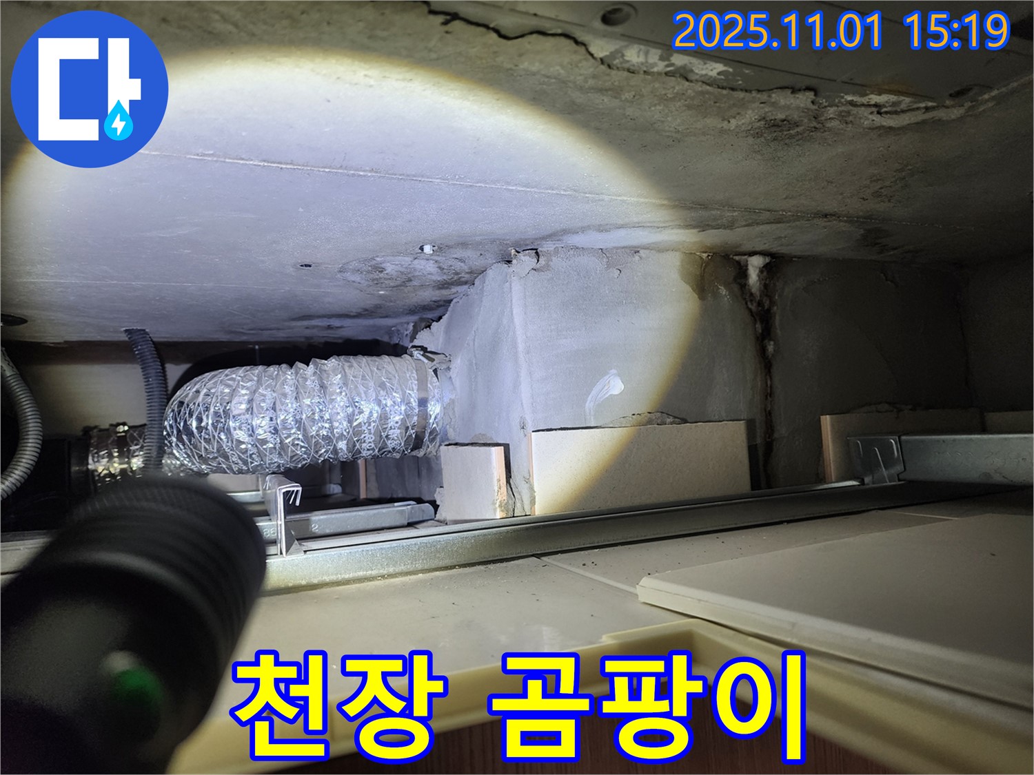 천장 곰팡이 - 누수로 인한 곰팡이