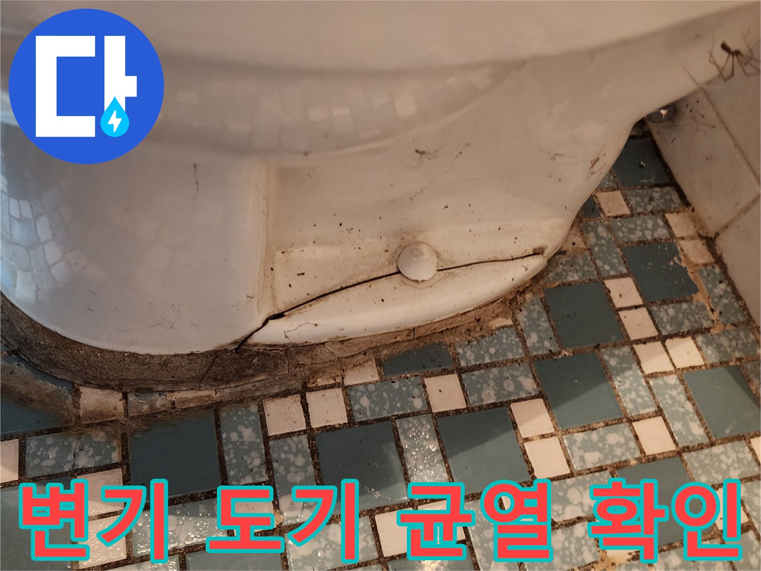 도기 파손 부위와 변기 하단 타일의 습한 상태