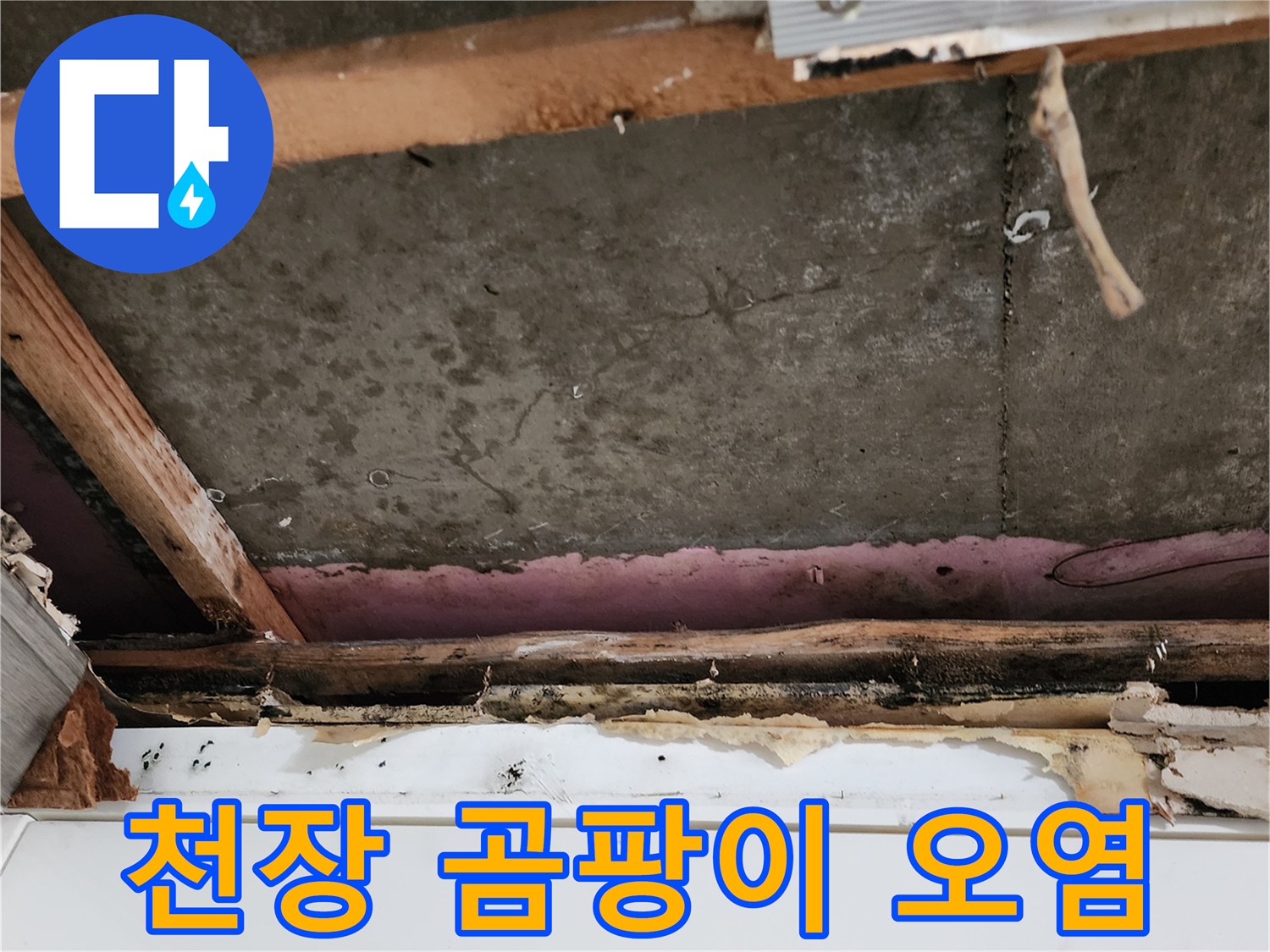 석고보드-뒷면-곰팡이-번짐-현상