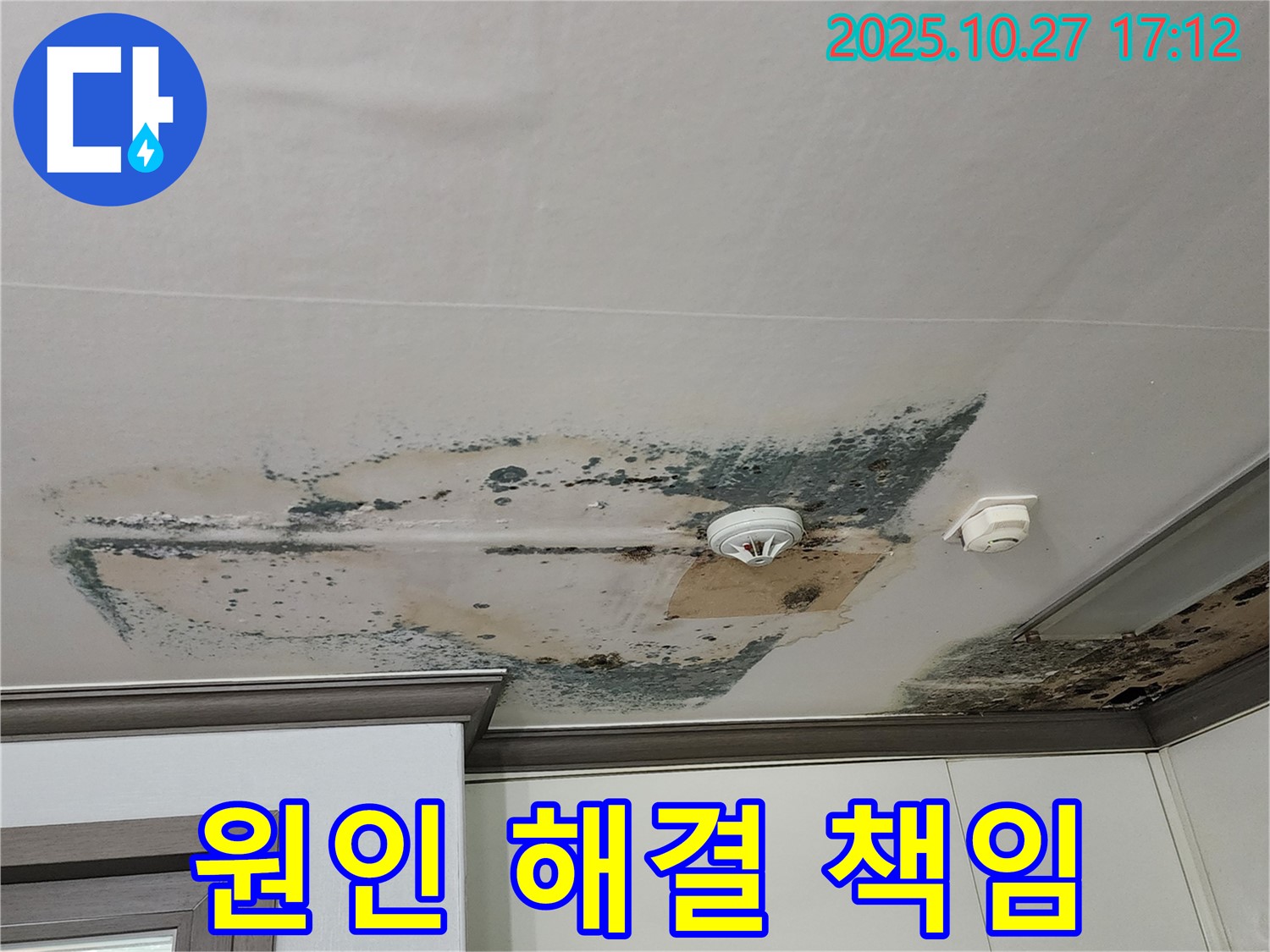 양주 회천2동 천장 누수 - 원인부터 해결까지 책임지고 해결