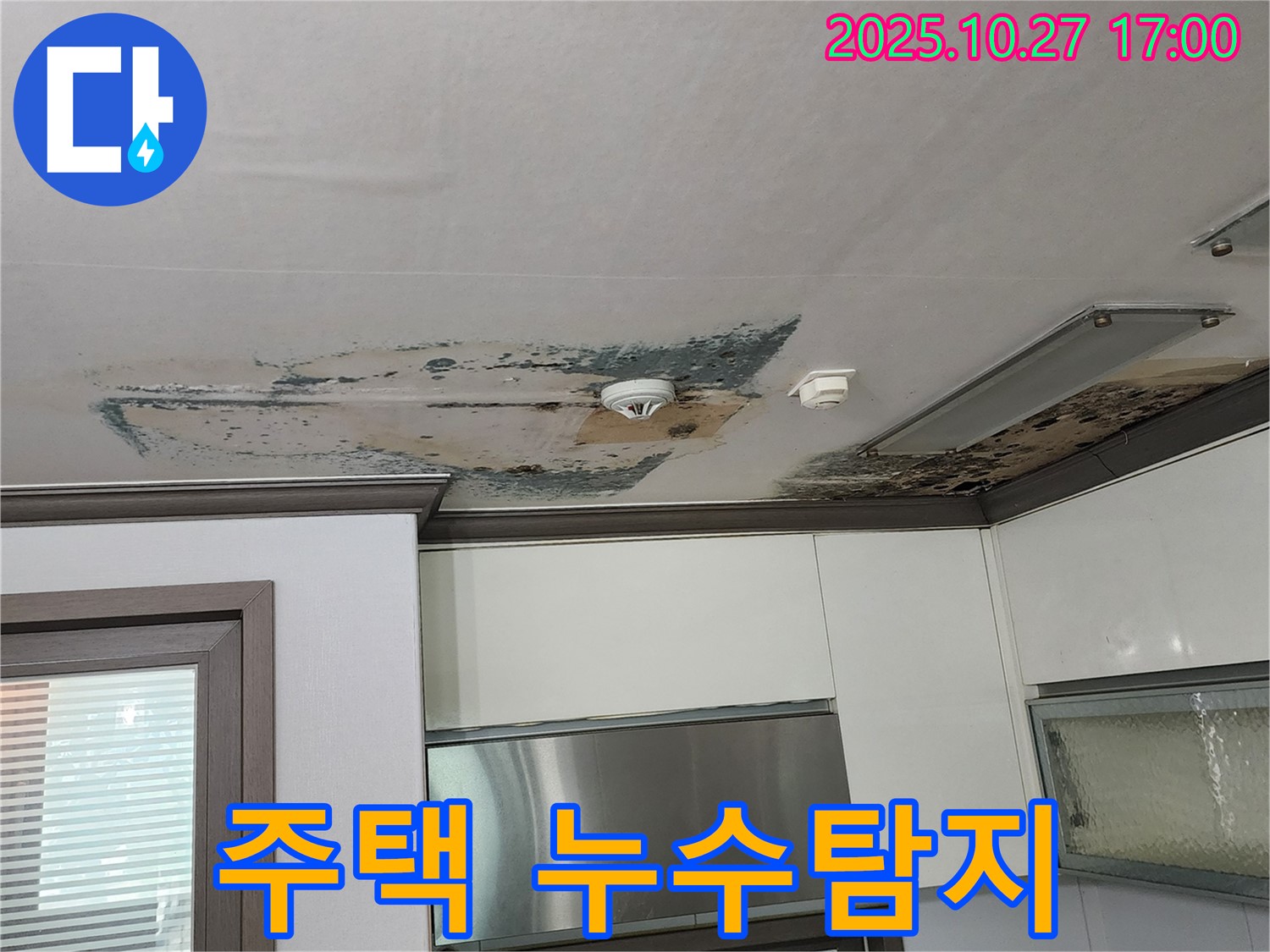 양주시 회천2동 주택 누수탐지 - 천장 누수 해결 전문 업체