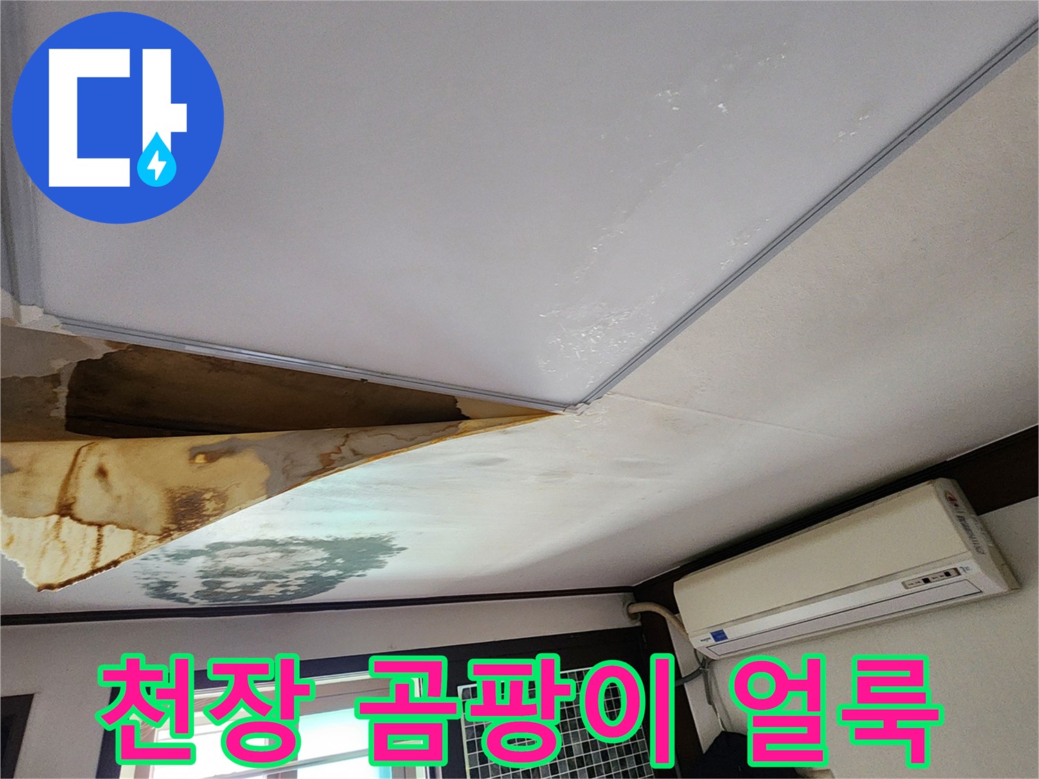 천장-벽지-하단-누수-오염-상태