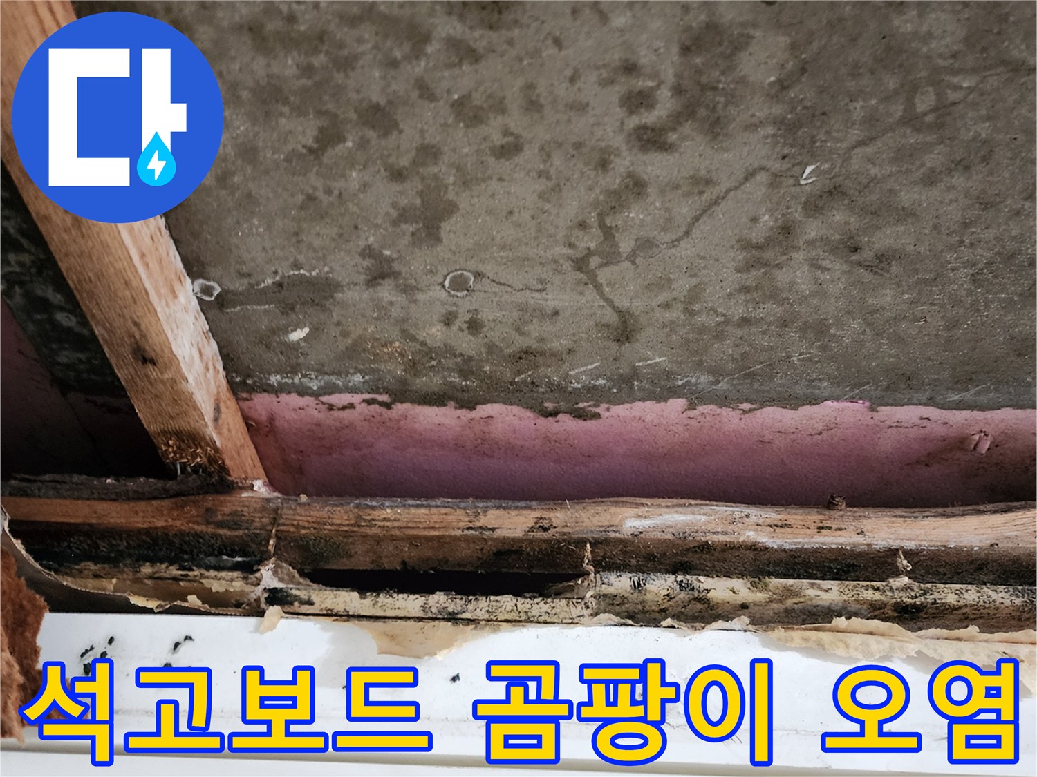 천장-석고보드-및-목재-오염-상태-확인