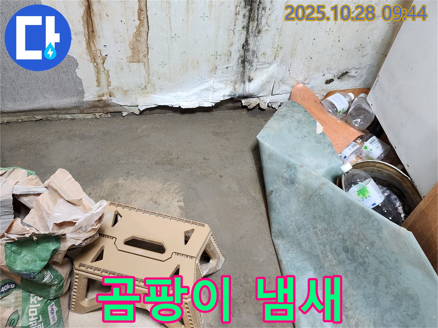 곰팡이 냄새 - 누수와 습기의 결과