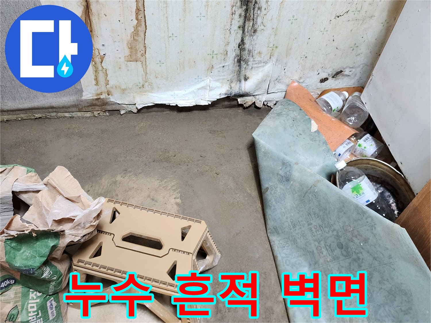 곰팡이와 습기가-가득한 화장실 내부 벽면