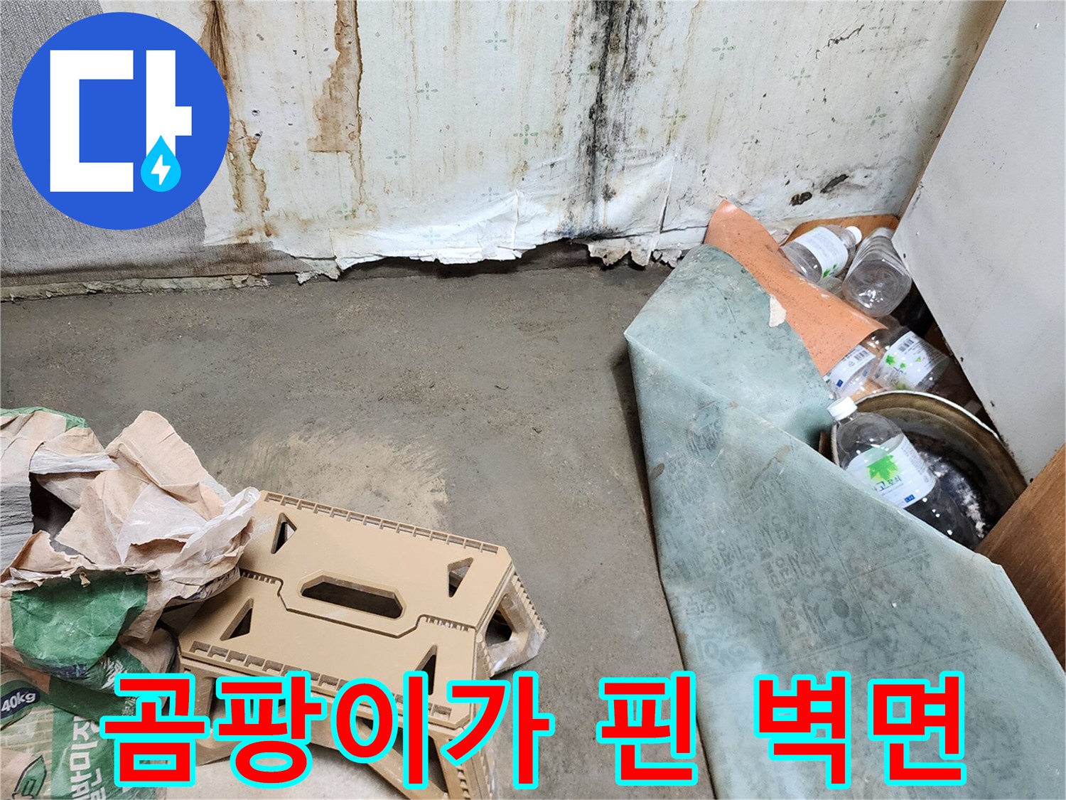 곰팡이와-습기로-오염된-욕실-벽체-하단