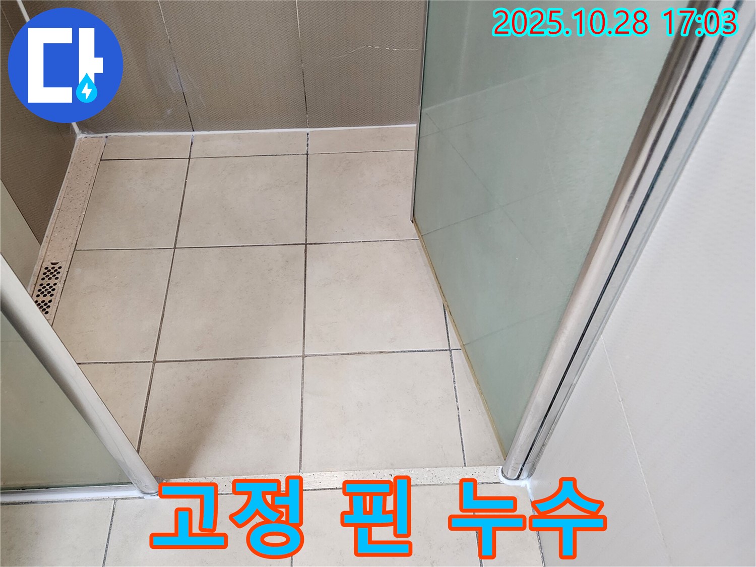 샤워부스 유리 고정 핀 - 핀 주변 실리콘 손상으로 인한 누수 가능성