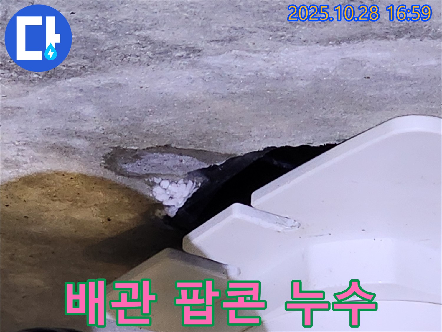 양주 유양동 배관 누수 - 배관 연결 부위에 하얀 팝콘 모양 물질이 발견되었습니다.
