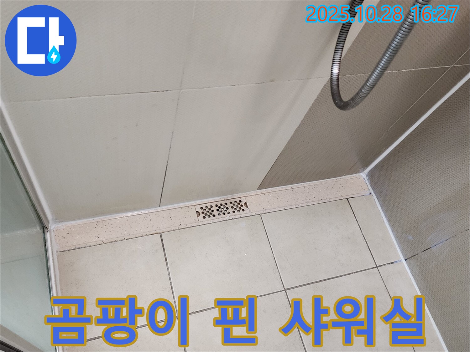 양주시 유양동 곰팡이 핀 샤워실 - 누수 잡고 곰팡이 걱정 끝!