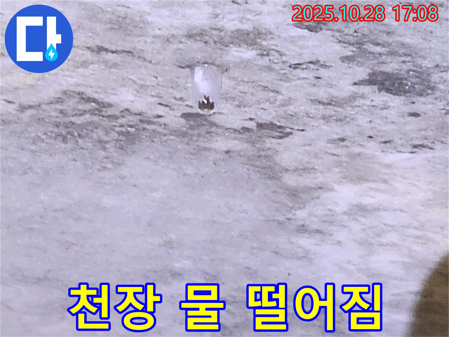 양주시 유양동 누수 - 천장 물 떨어짐 - 긴급 누수 상황