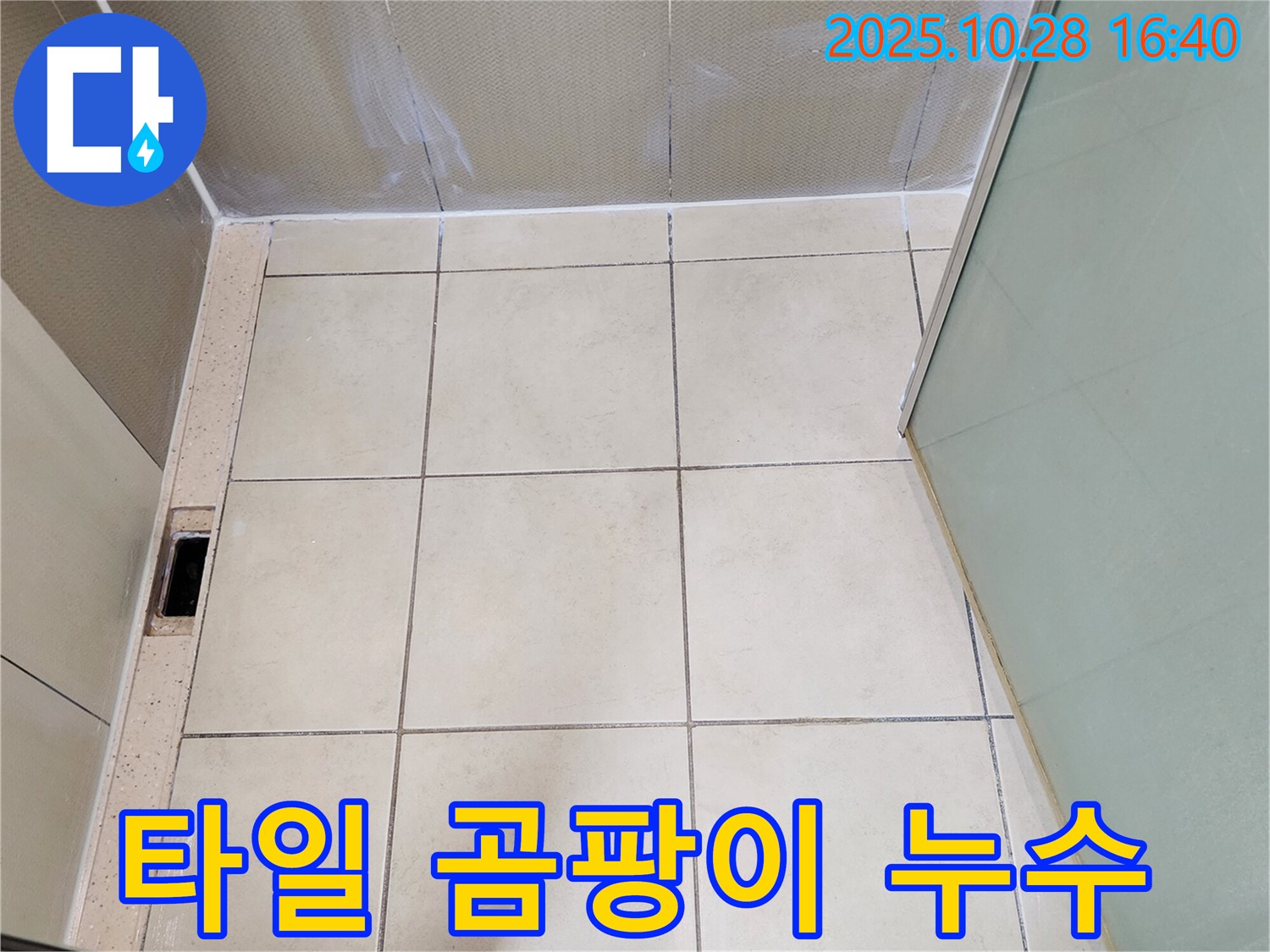 양주시 유양동 샤워부스 누수 - 타일 틈새 곰팡이로 인한 누수 해결
