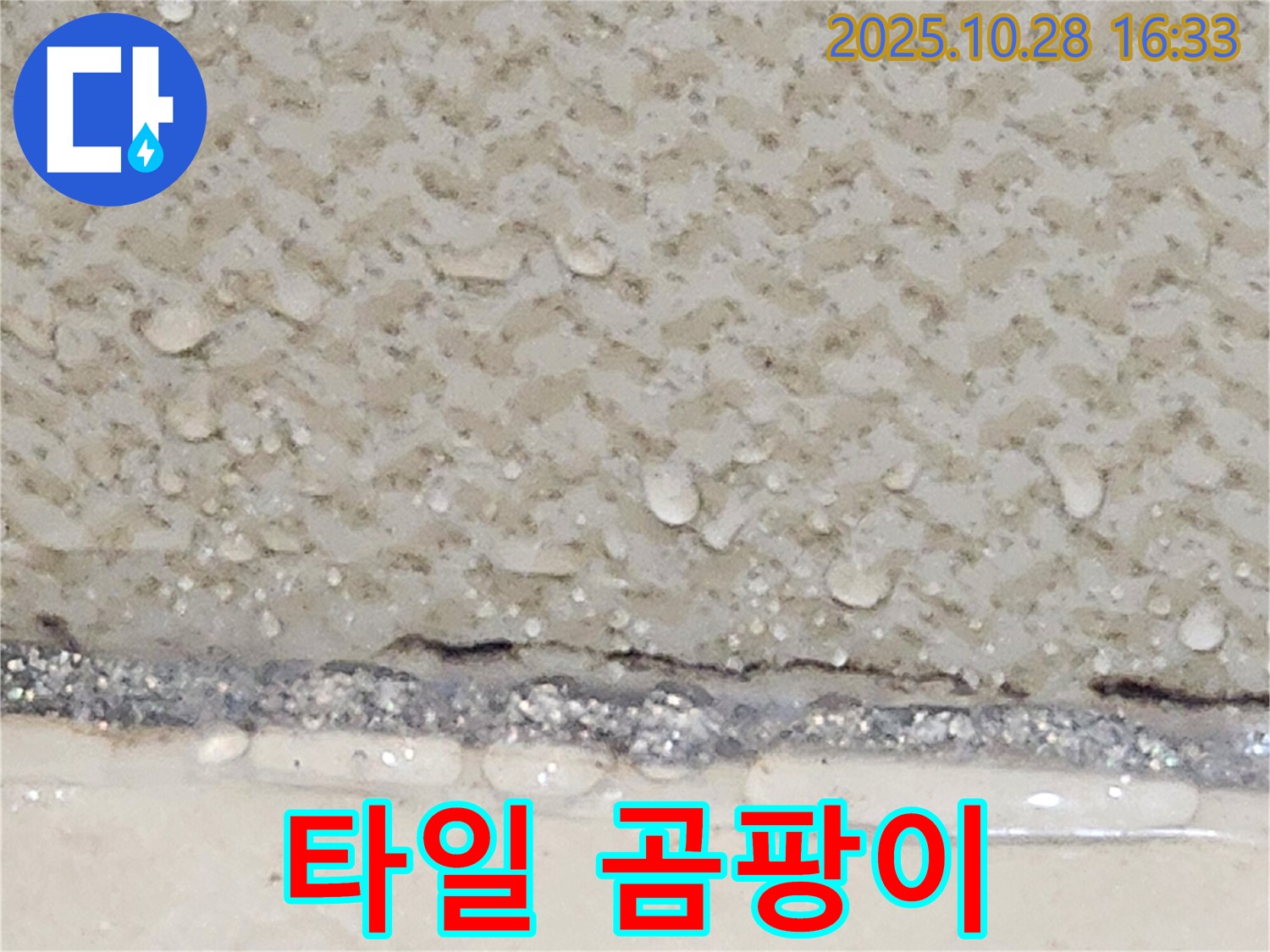 양주시 유양동 욕실 타일 틈새 곰팡이 - 실리콘 재시공