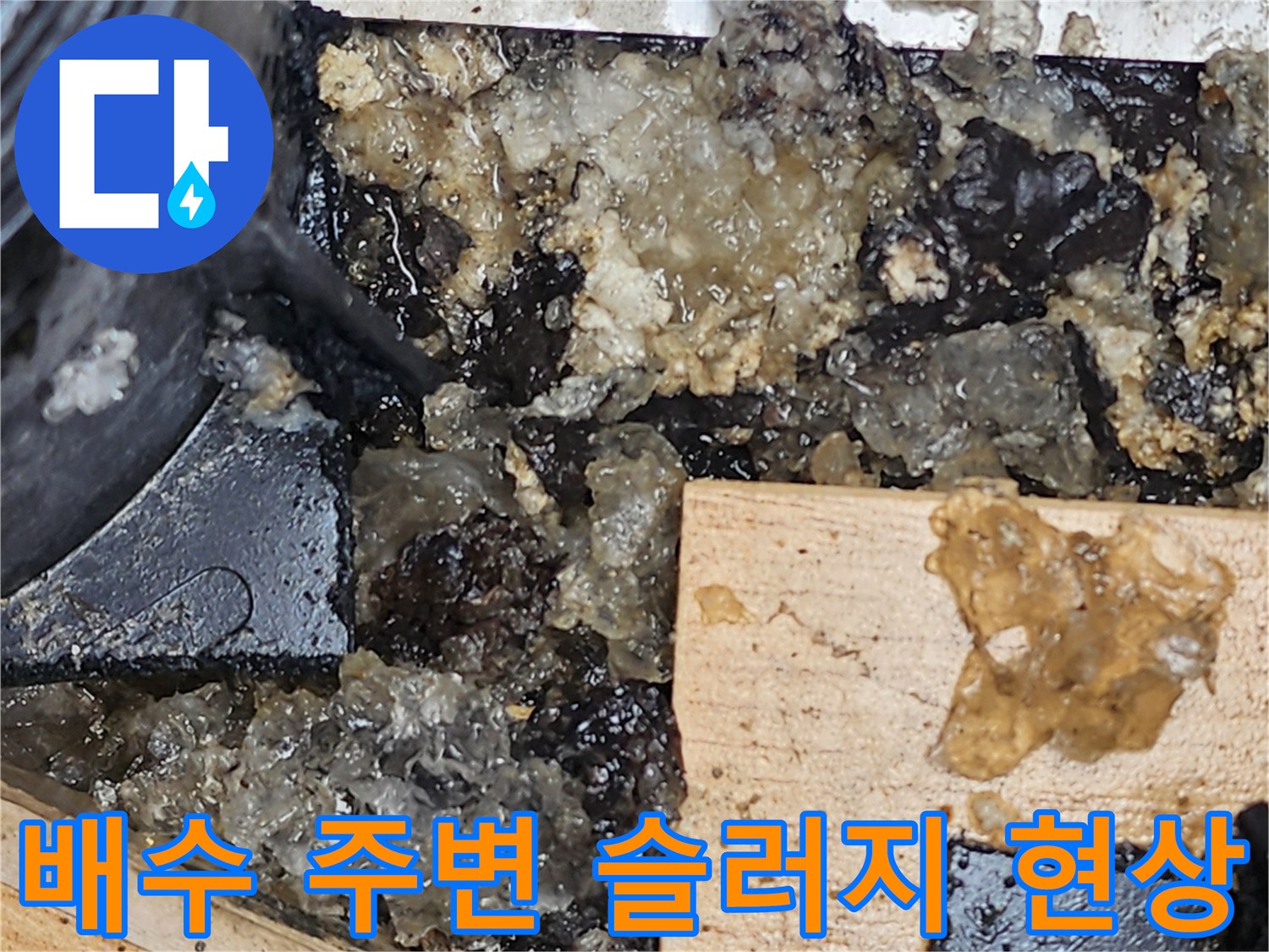 배수구 근처에 형성된 오염된 물과 찌꺼기