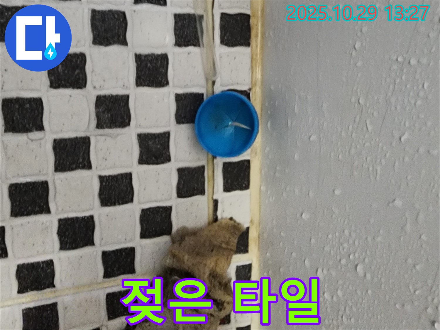 양주시 산북동 누수 - 젖은 타일, 곰팡이 번식 위험 증가!