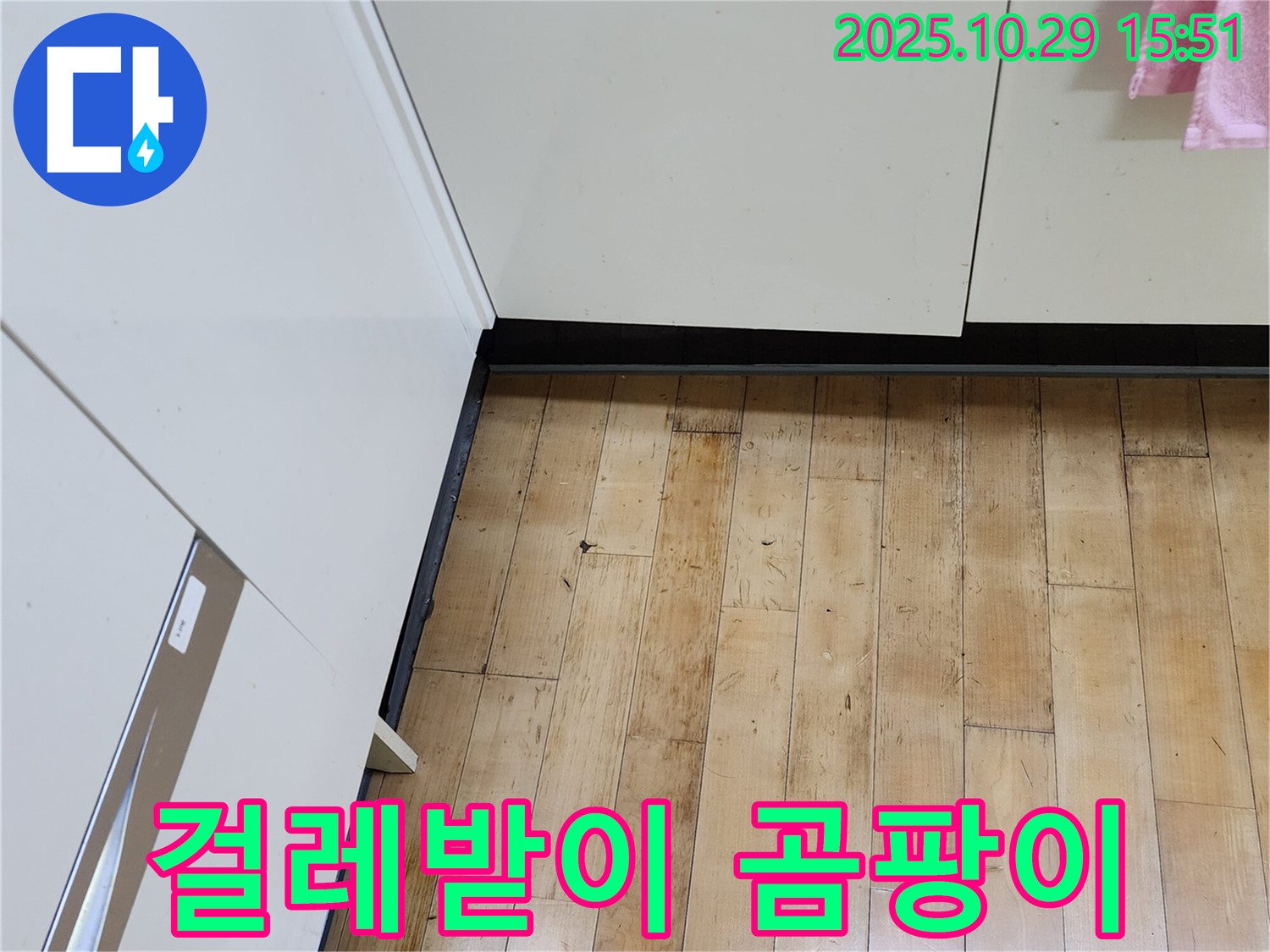 양주시 마전동 싱크대 누수 - 걸레받이 곰팡이, 누수 해결이 먼저!