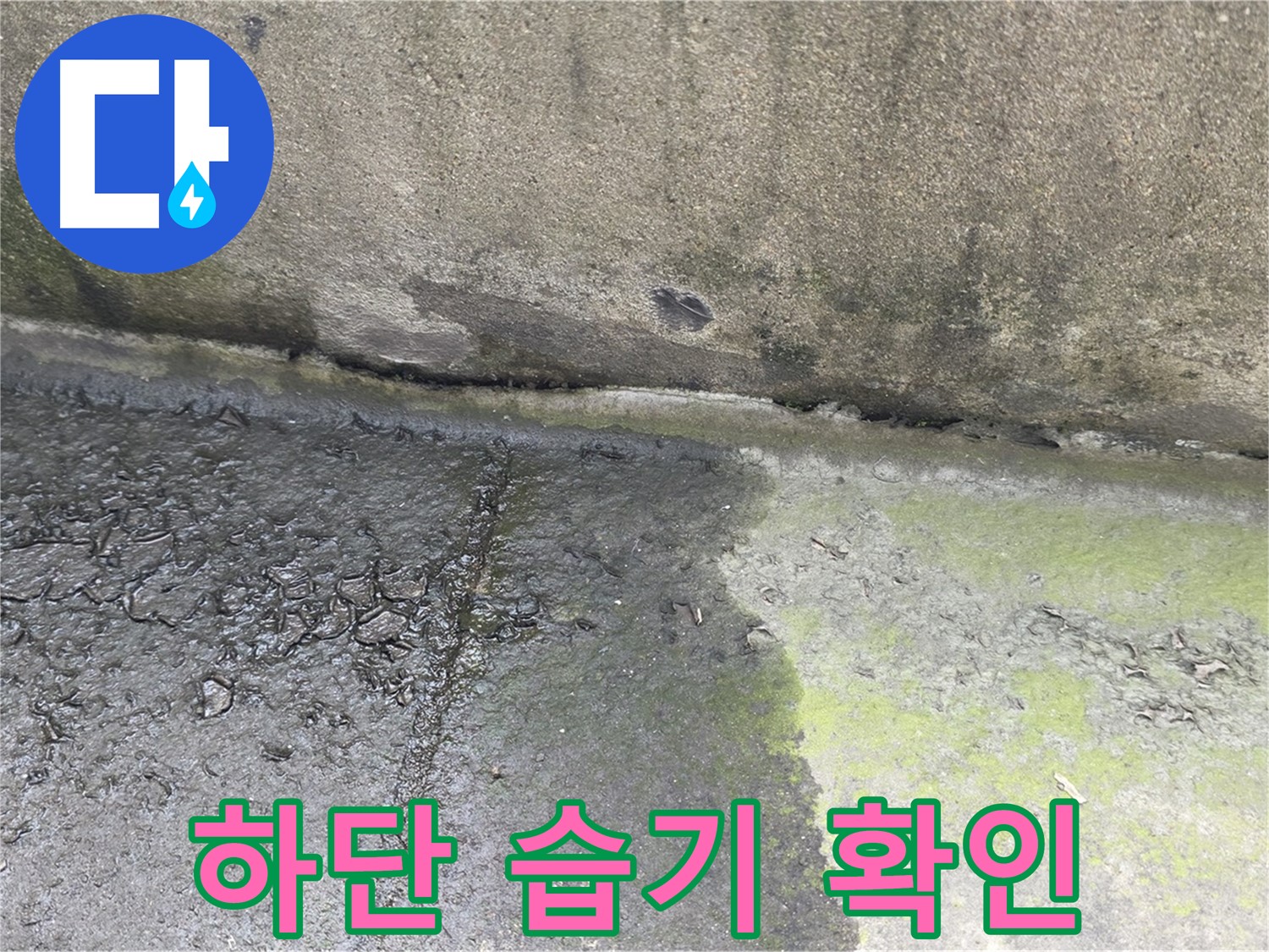 구리시 딸기원 건물 하단 습기 상태 점검 사진