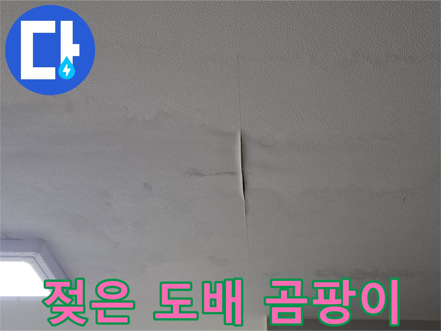 천장 누수 - 젖은 도배 및 곰팡이 발생