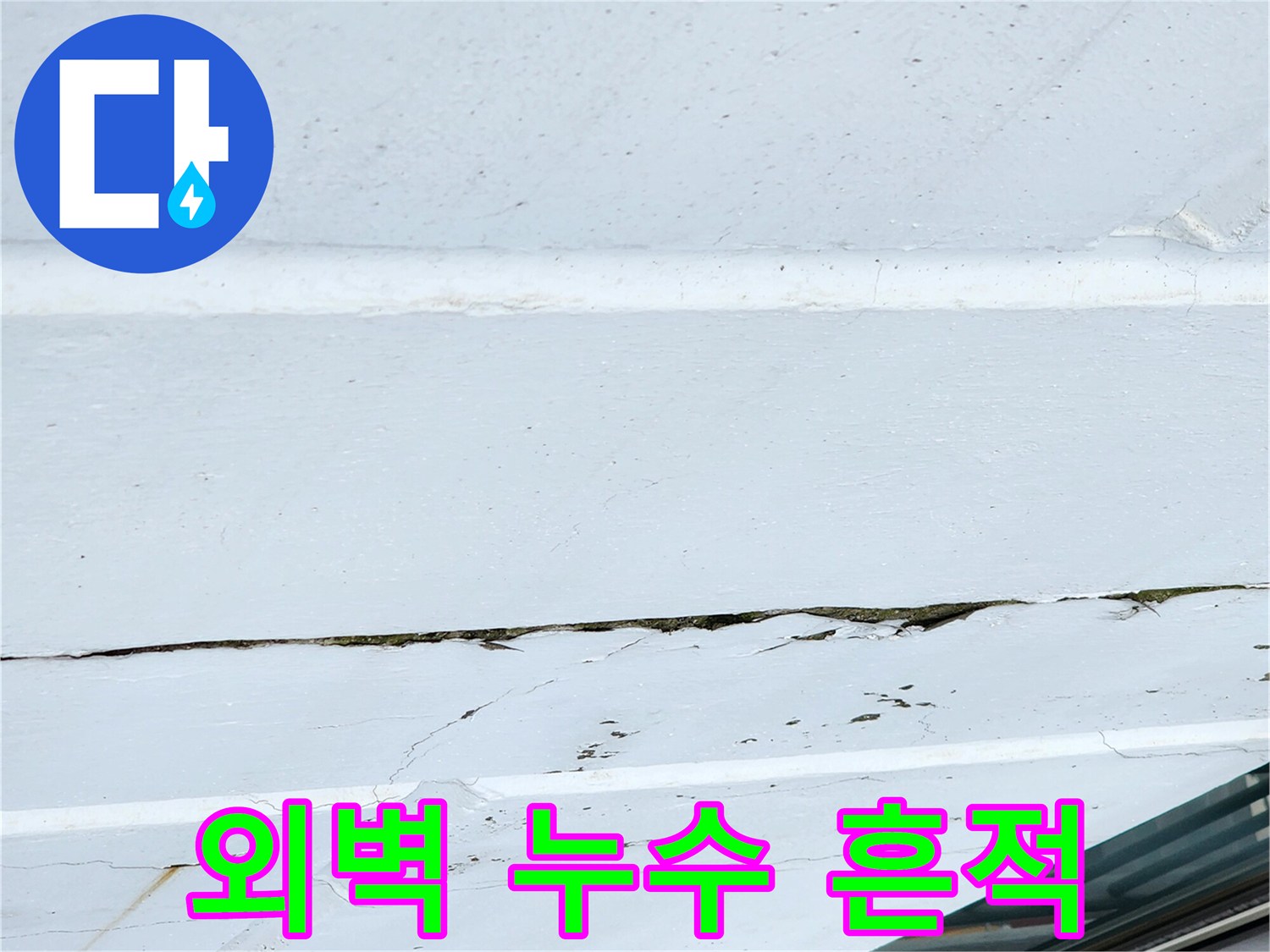 갈라진 외벽 틈새에 스며든 물자국 - 현장 기록