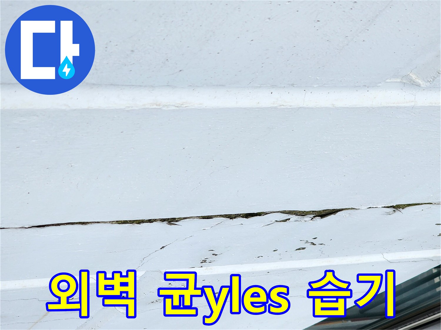 건물 외부-균열 사이로 스며든 물기 현상