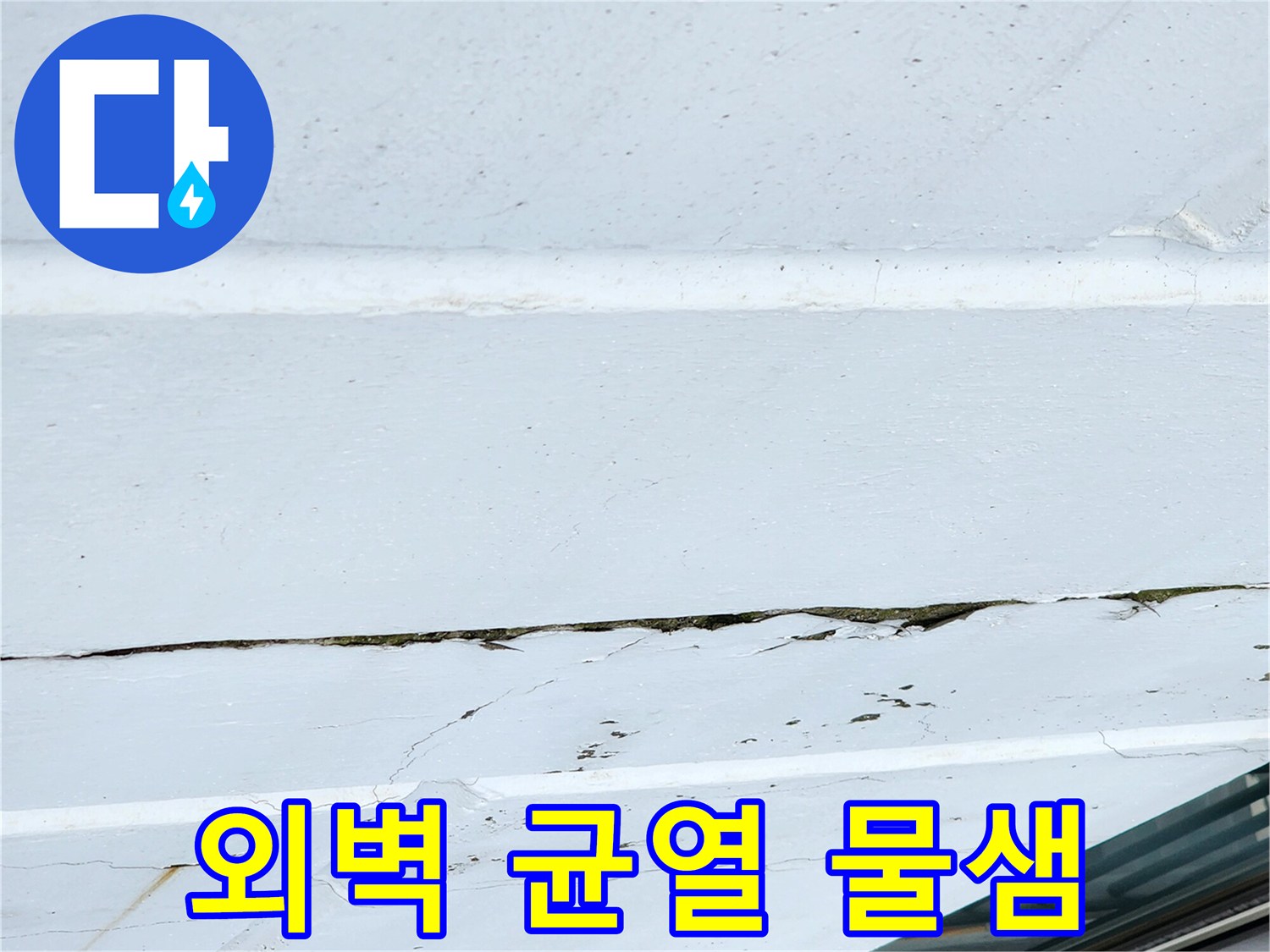 균열-틈새로-스며든-물자국-상태