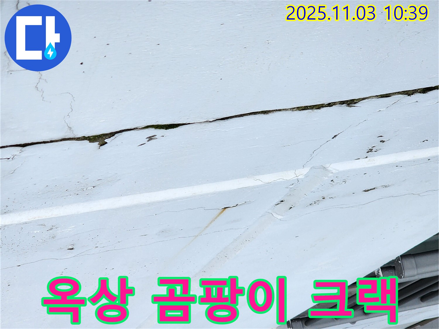 옥상 곰팡이와 크랙 - 옥상 누수로 인해 곰팡이가 발생했습니다.