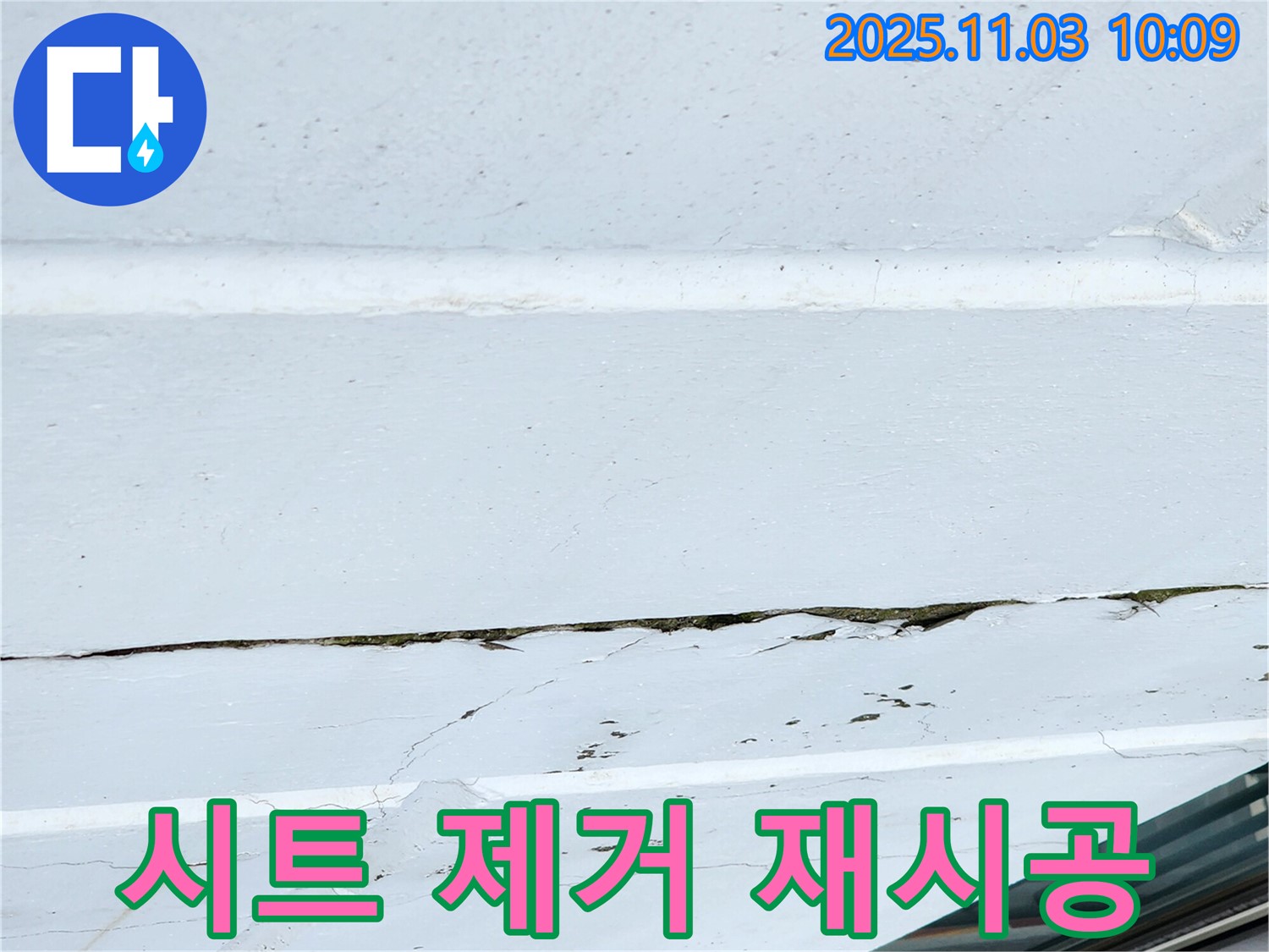 옥상 찢어진 방수 시트 제거 - 완벽한 재시공으로 누수 완벽 차단