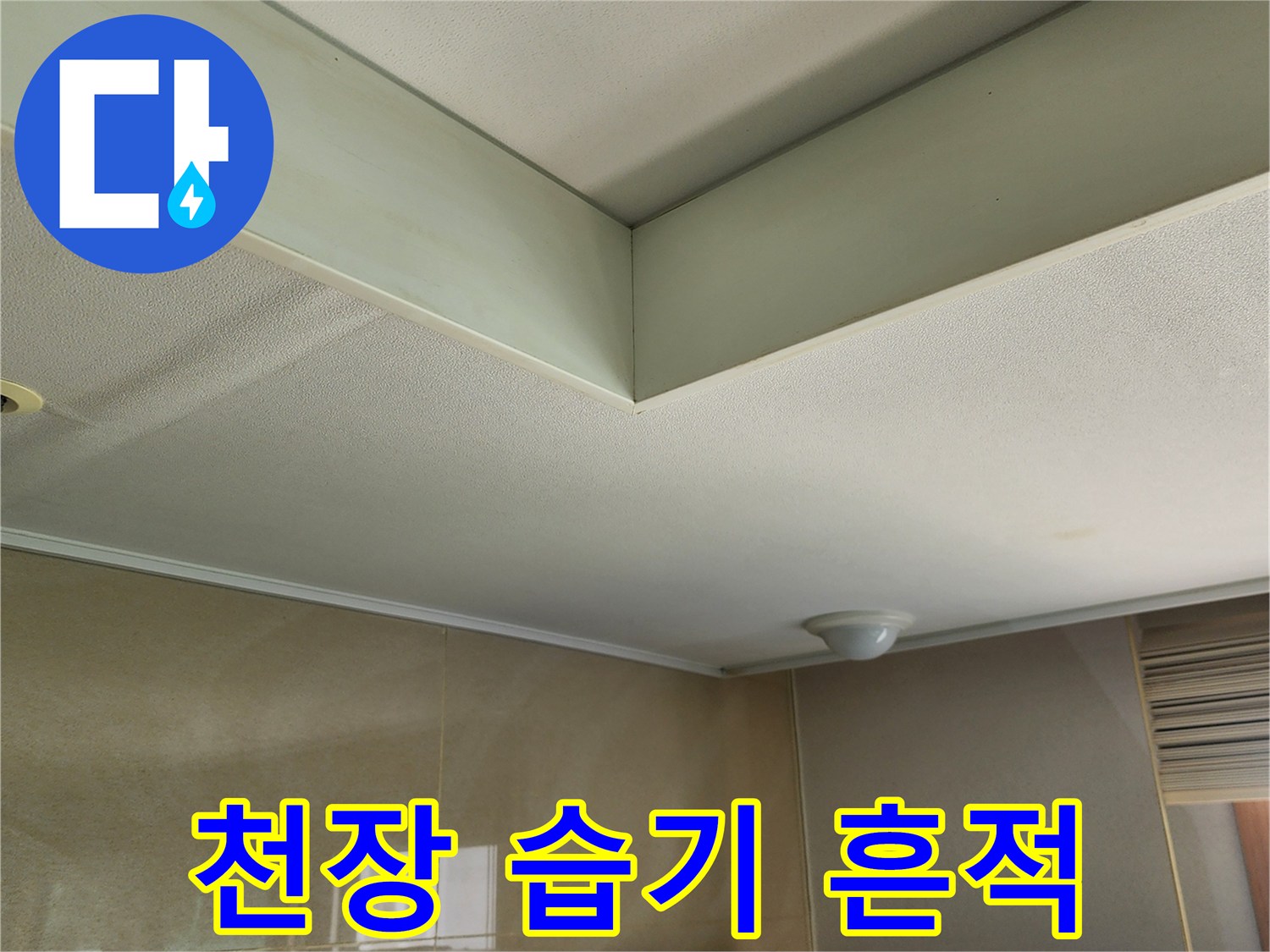 주방-천장-가장자리의-습윤한-상태