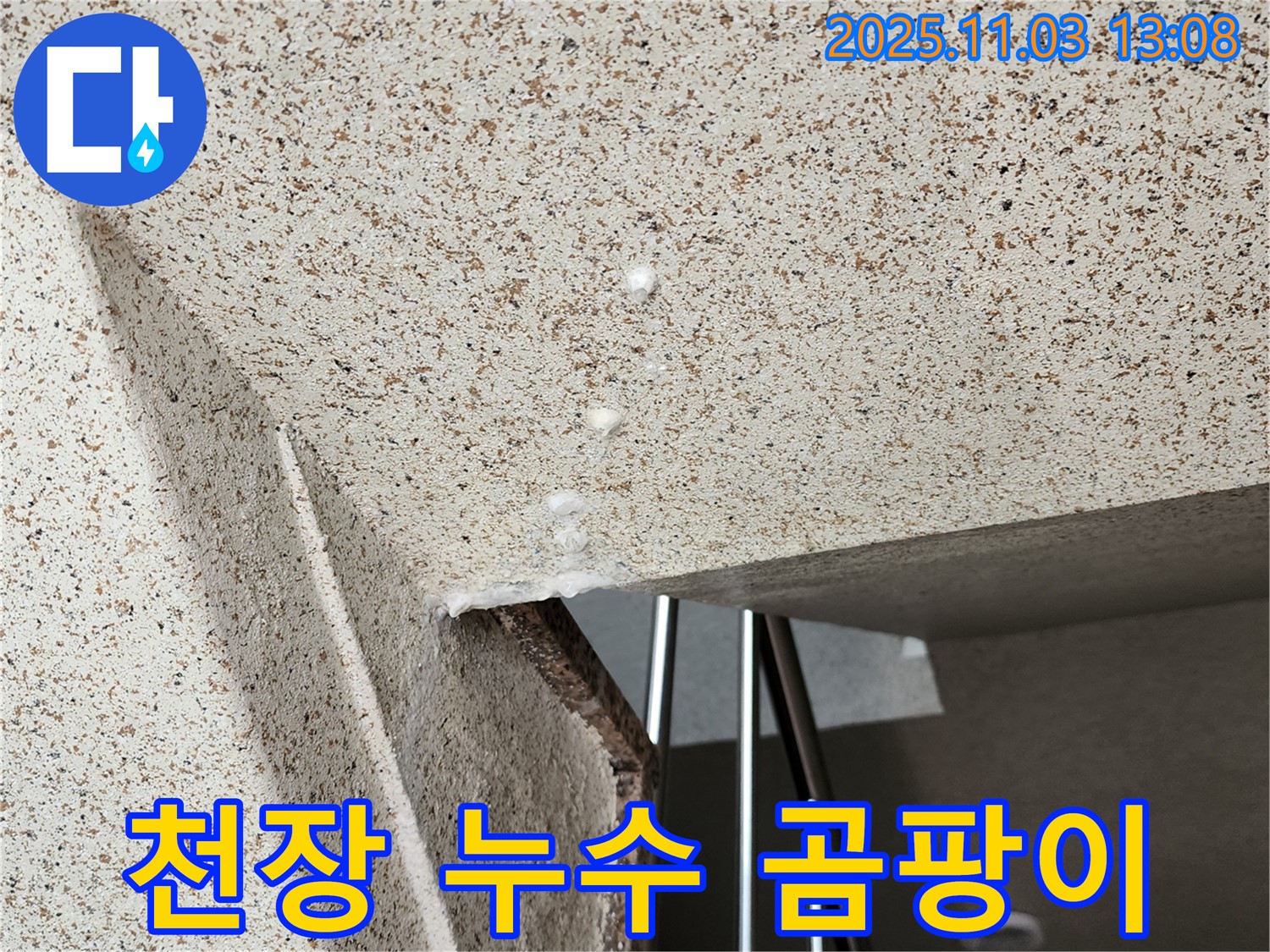 고읍동 아파트 천장 누수 - 곰팡이 냄새까지 싹! 해결하는 누수 전문 업체