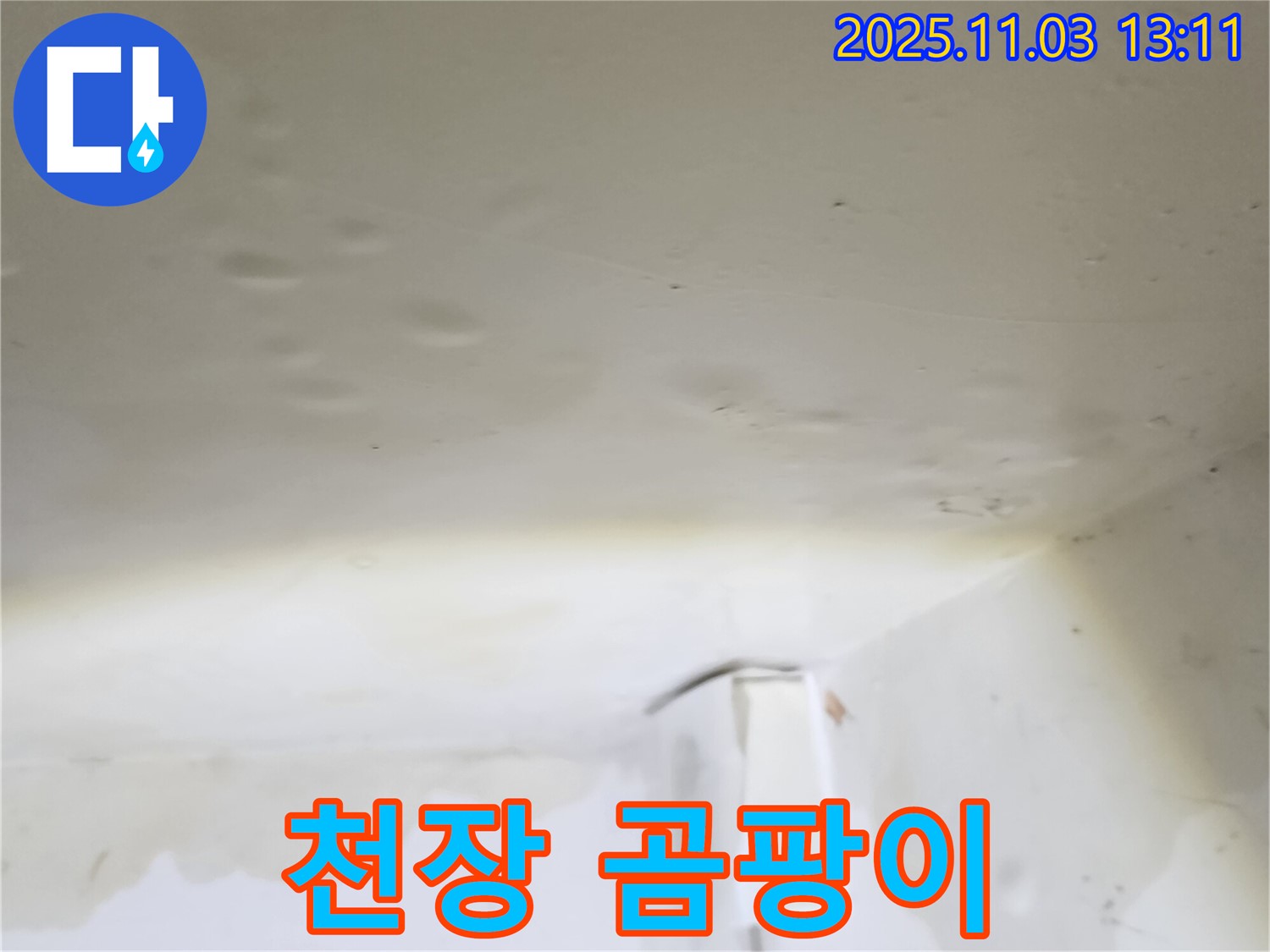 양주시 옥정동 천장 곰팡이 - 누수로 인해 천장에 곰팡이가 생긴 모습입니다.