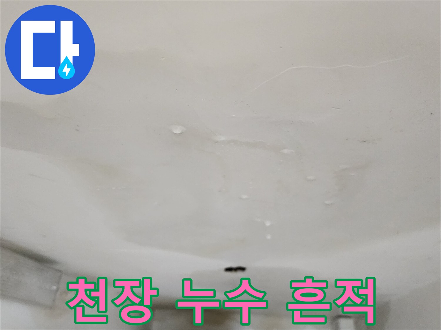 천장-얼룩진-누수-피해-부위