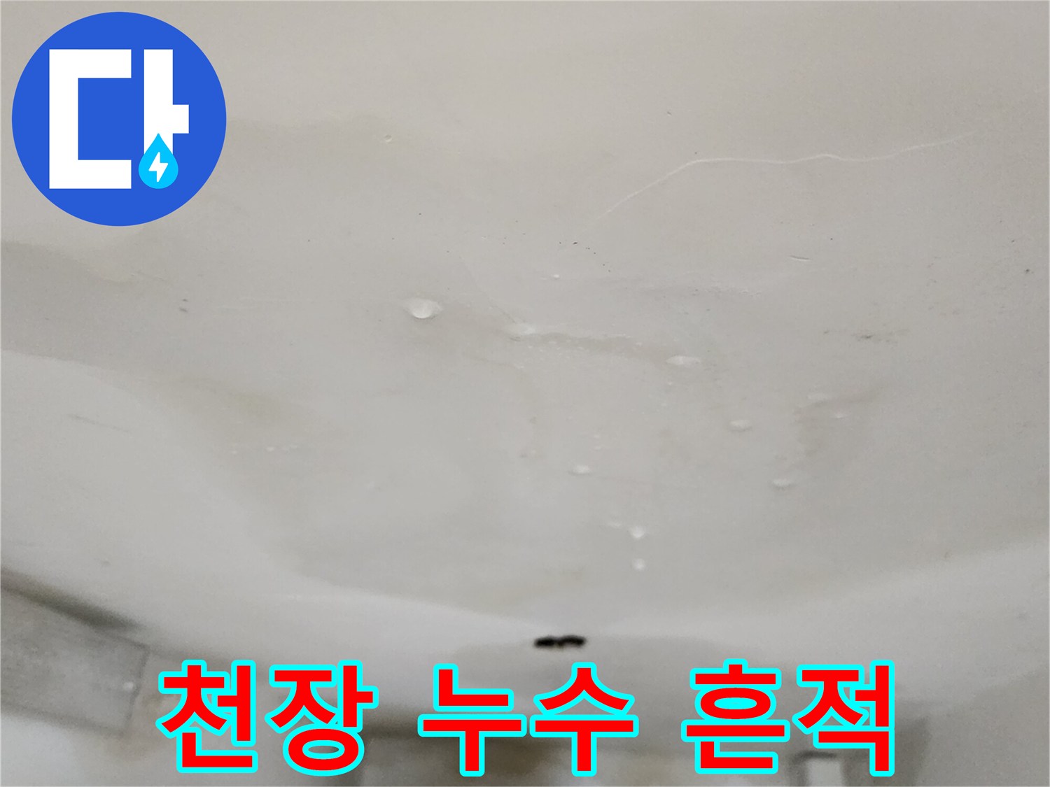 축축하게 젖은-아래층 천장의 얼룩진 부분