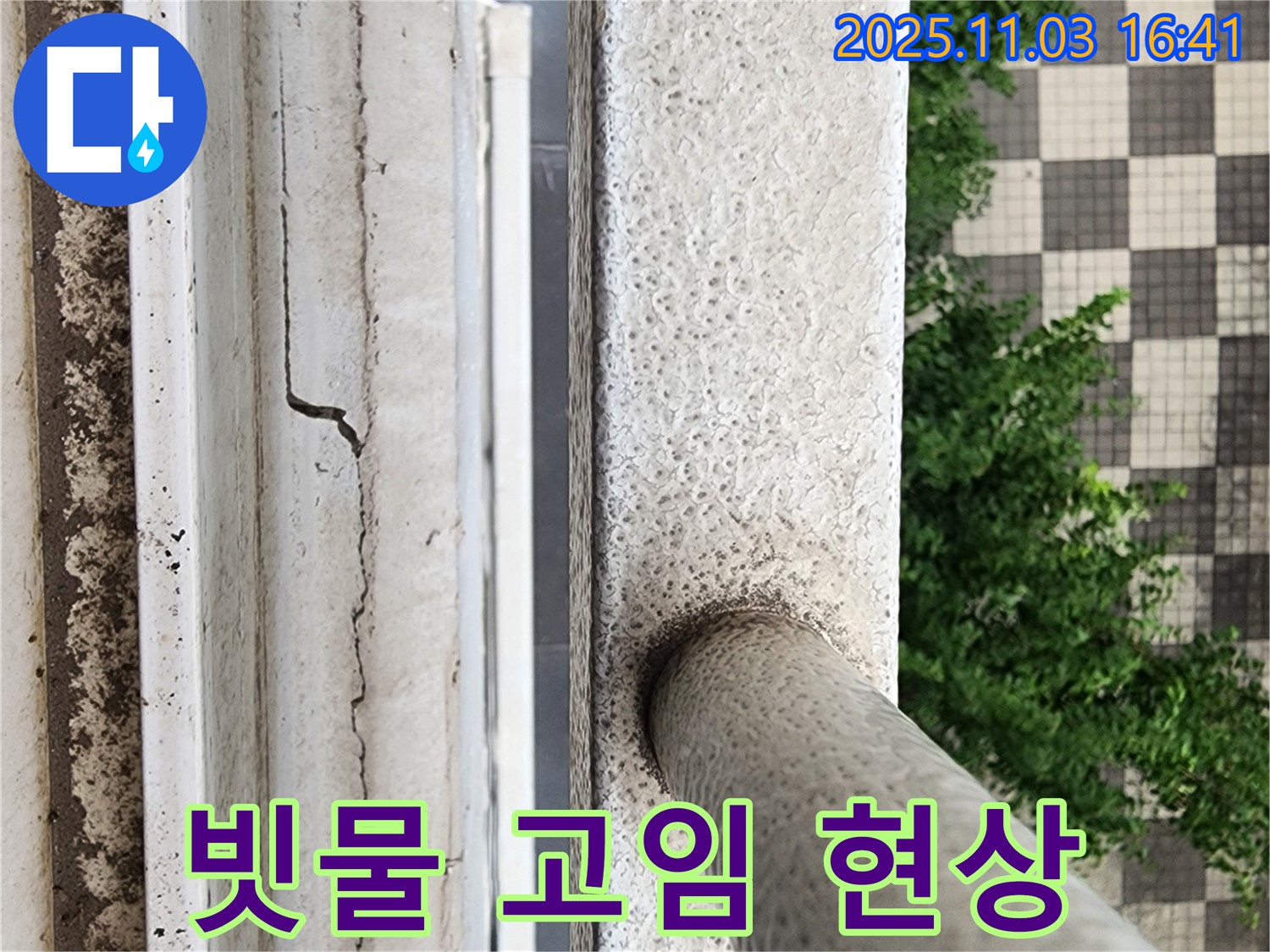 빗물 고임 - 배수 불량 & 곰팡이