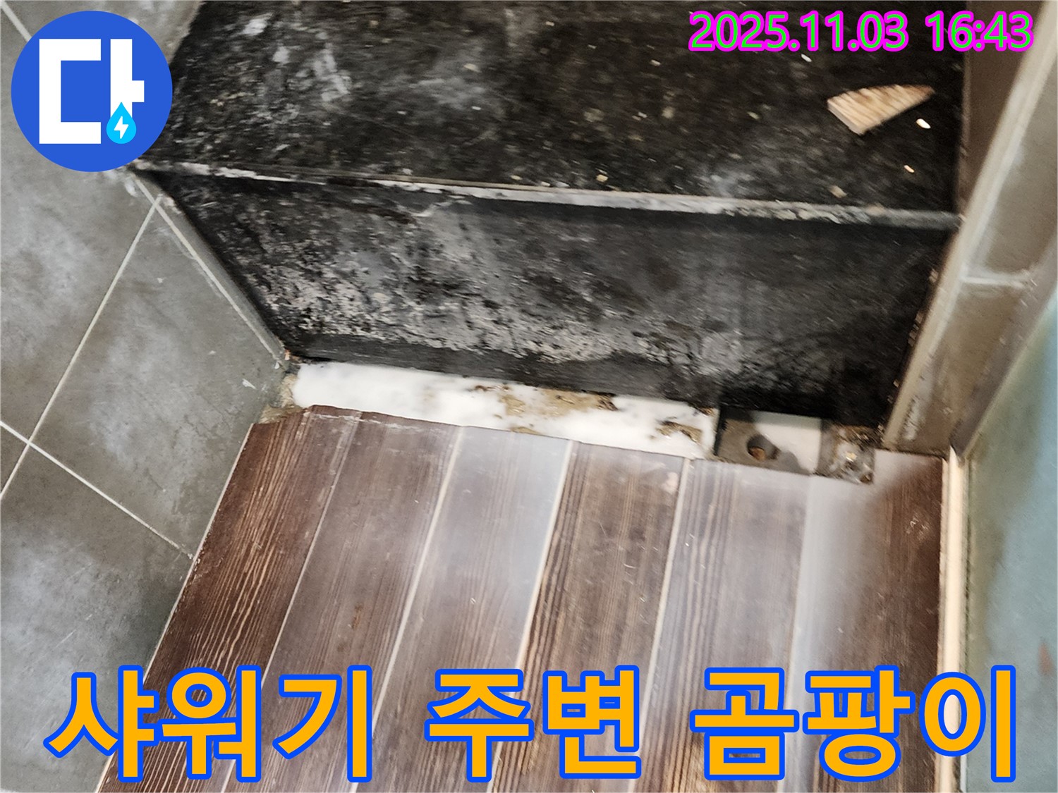 양주 샤워기 주변 곰팡이 - 누수 원인 제거와 곰팡이 제거 시공으로 쾌적한 욕실을 만들어 드립니다.