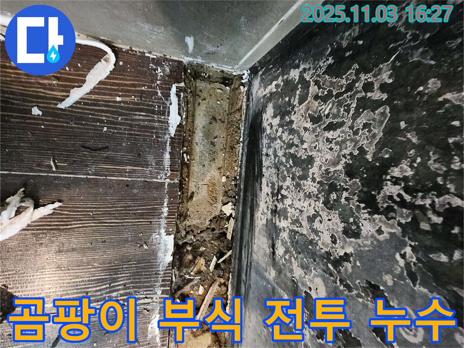 양주시 덕계동 누수 - 곰팡이와 함께 썩어가는 공간! 누수와의 처절한 전투에서 승리하세요!