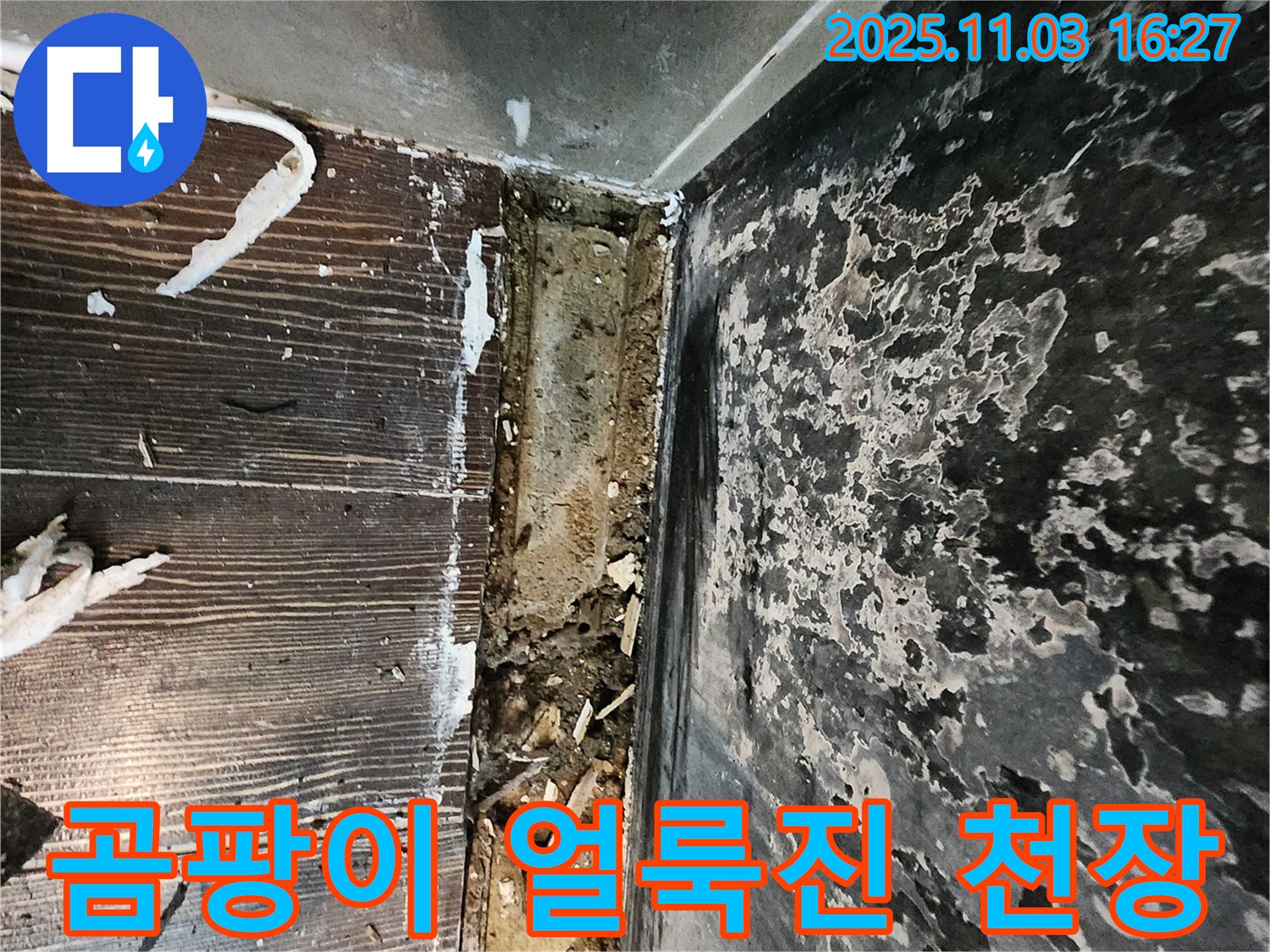 양주시 삼숭동 누수 - 곰팡이로 얼룩진 천장. 누수 해결과 함께 곰팡이 제거가 시급합니다.