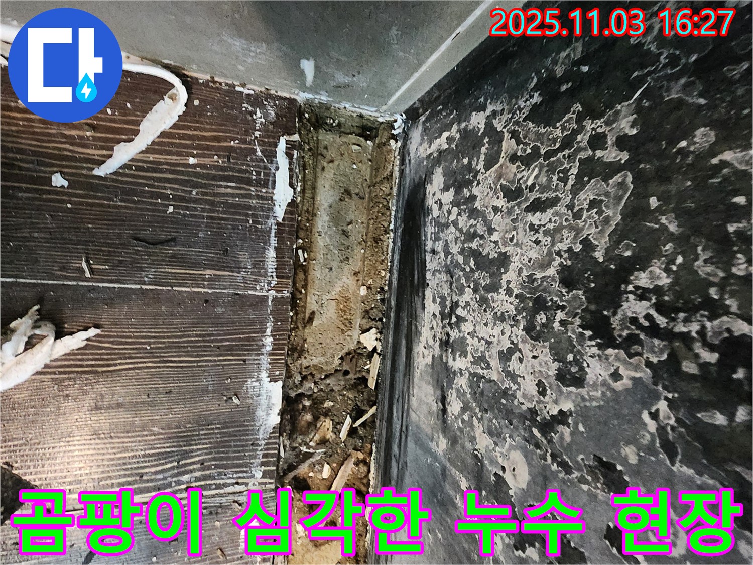 양주시 삼숭동 누수 현장 - 곰팡이가 심각하게 발생했습니다. 누수 해결과 함께 곰팡이 제거가 시급합니다.