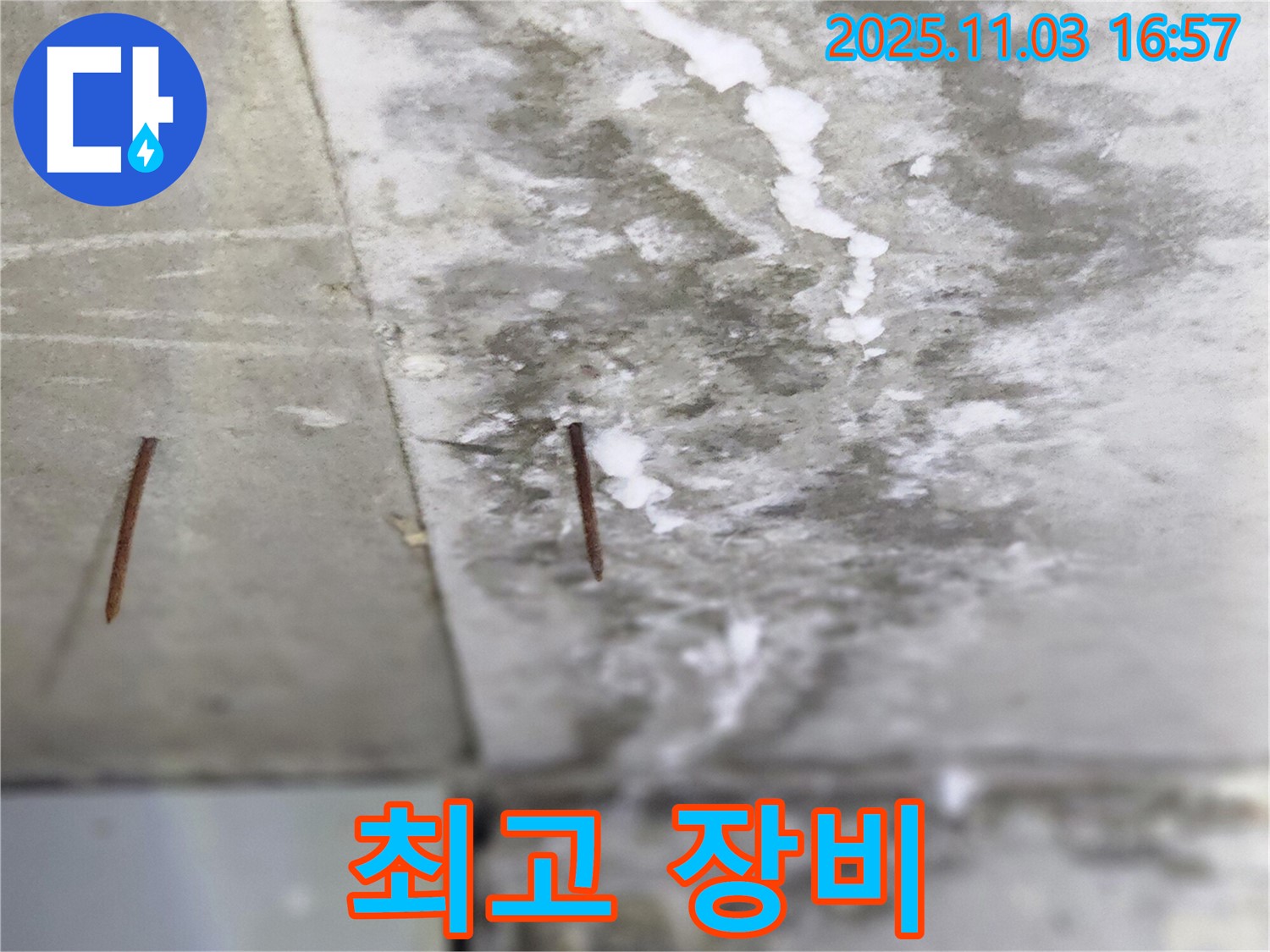 양주시 삼숭동 누수 현장 - 최고의 장비와 숙련된 기술력으로 솟은 못 누수 문제를 완벽하게 해결합니다 - 믿고 맡겨주세요.