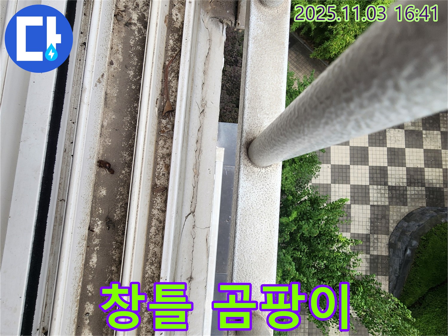 양주시 삼숭동 아파트 창틀 하부 곰팡이 발생 - 건강 위협