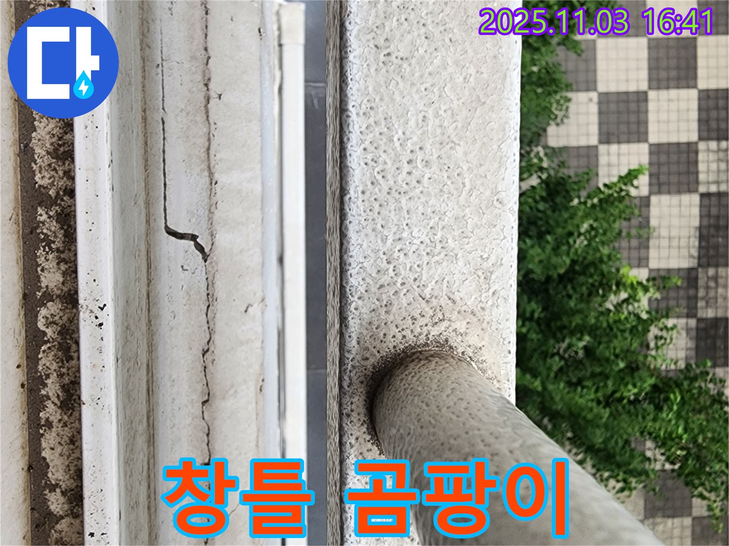 창틀 곰팡이 - 습기 & 건강 위협