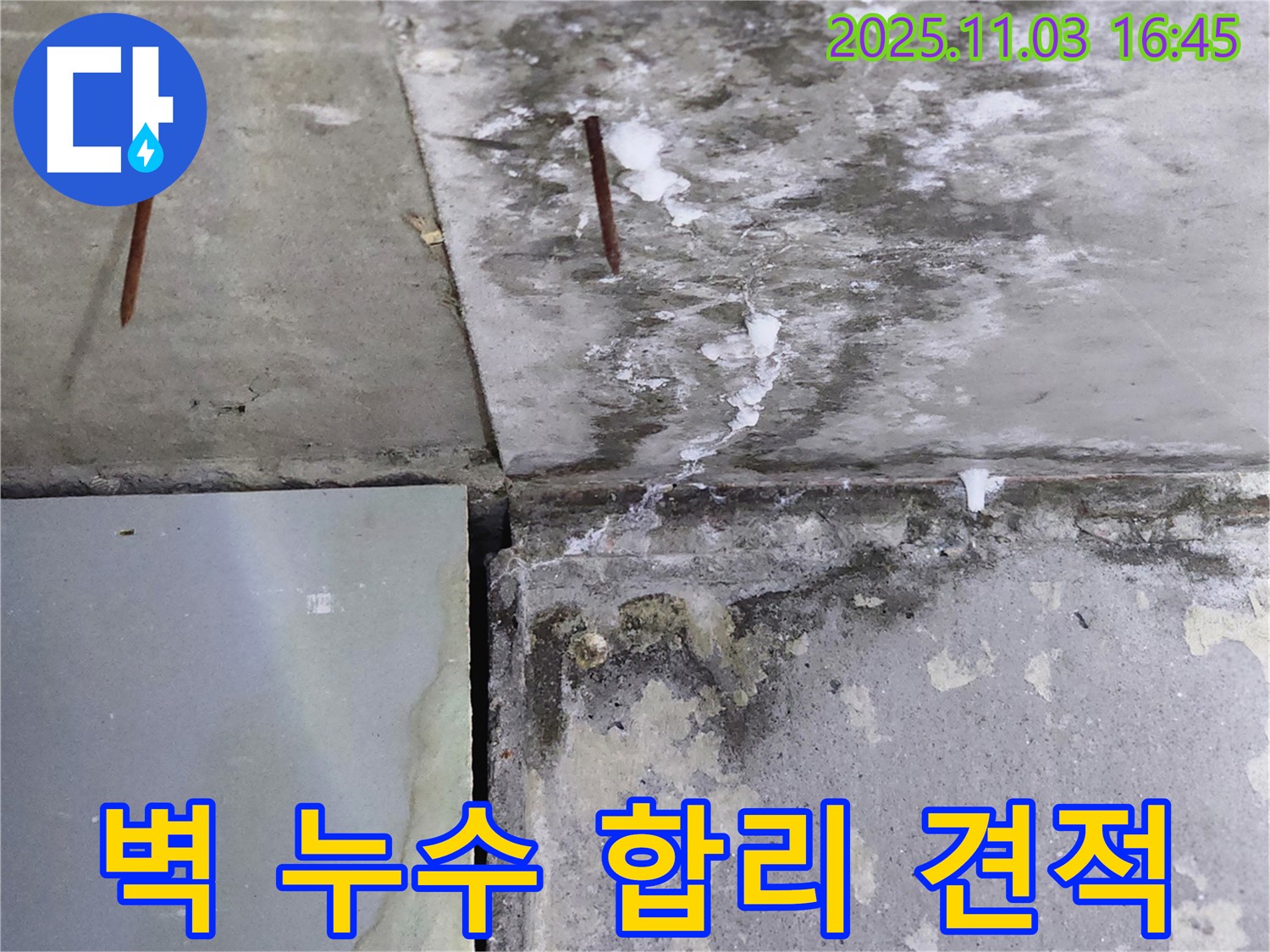콘크리트 벽 누수 - 합리적인 견적으로 확실하게 해결