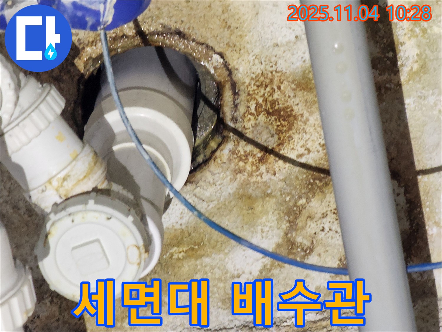 남양주 다산 세면대 누수 - 문제의 배수관