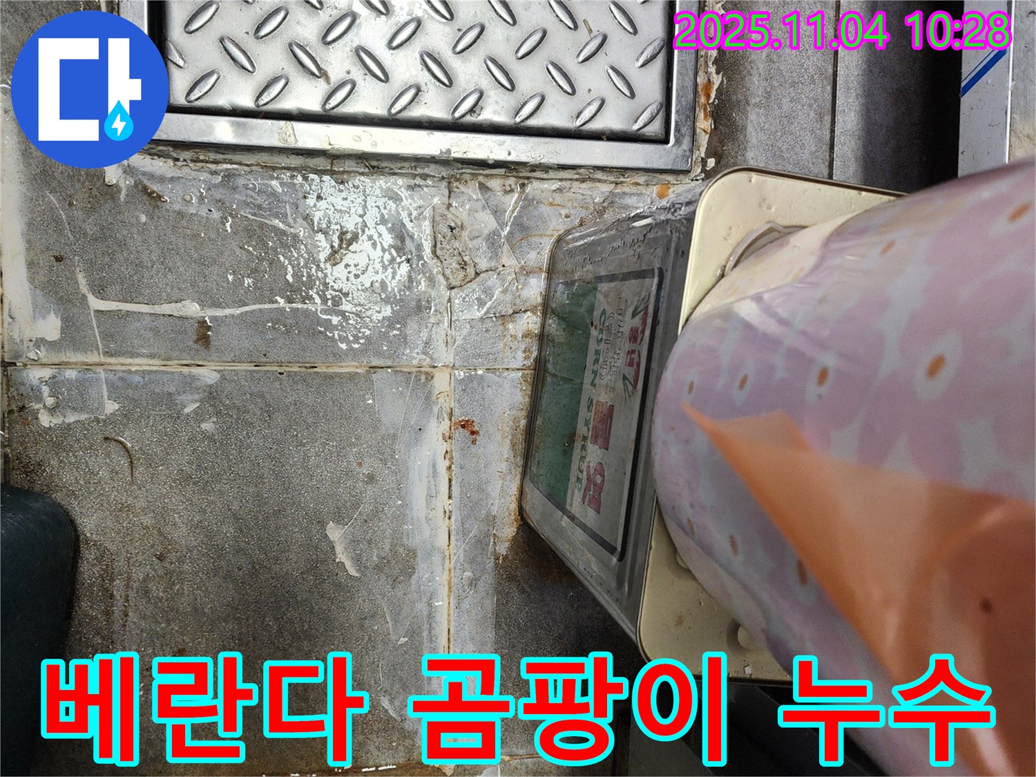지금동 아파트 누수 현장 - 베란다 벽면에 곰팡이가 심하게 발생한 상황을 보여줍니다.