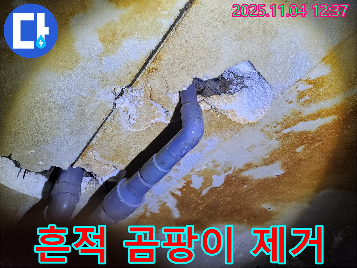 포천 누수 - 천장 누수, 누수 흔적과 곰팡이 제거