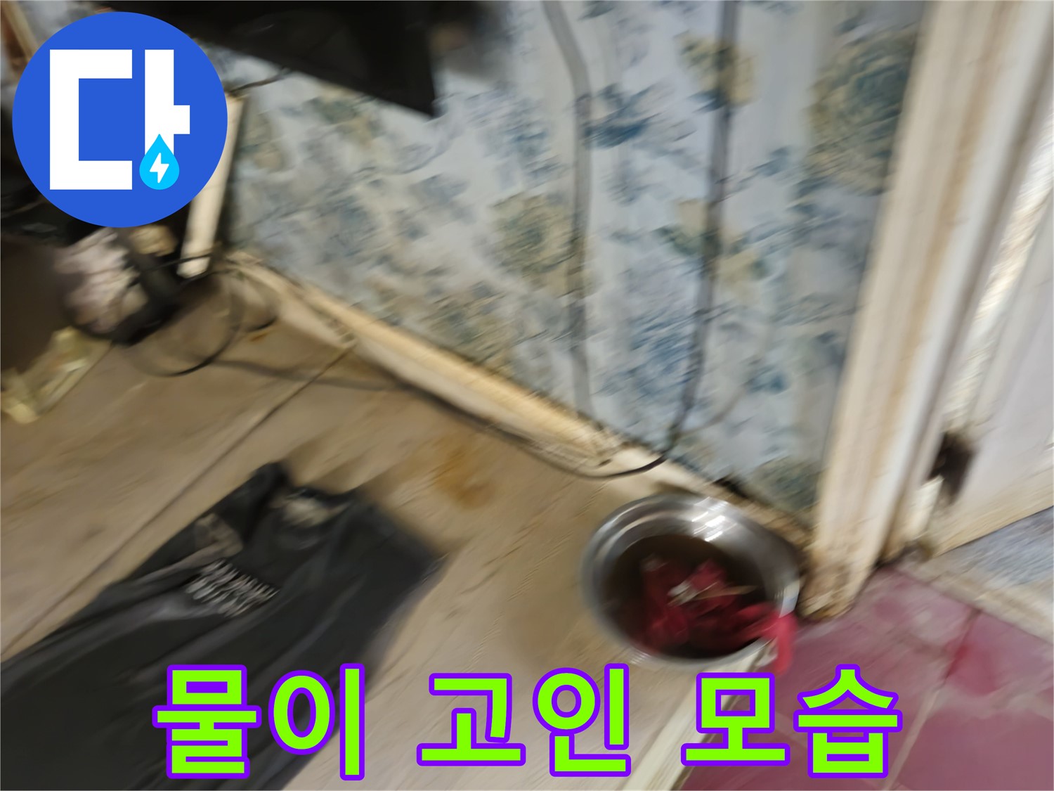 물이 고인 모습 - 심각한 누수 상황