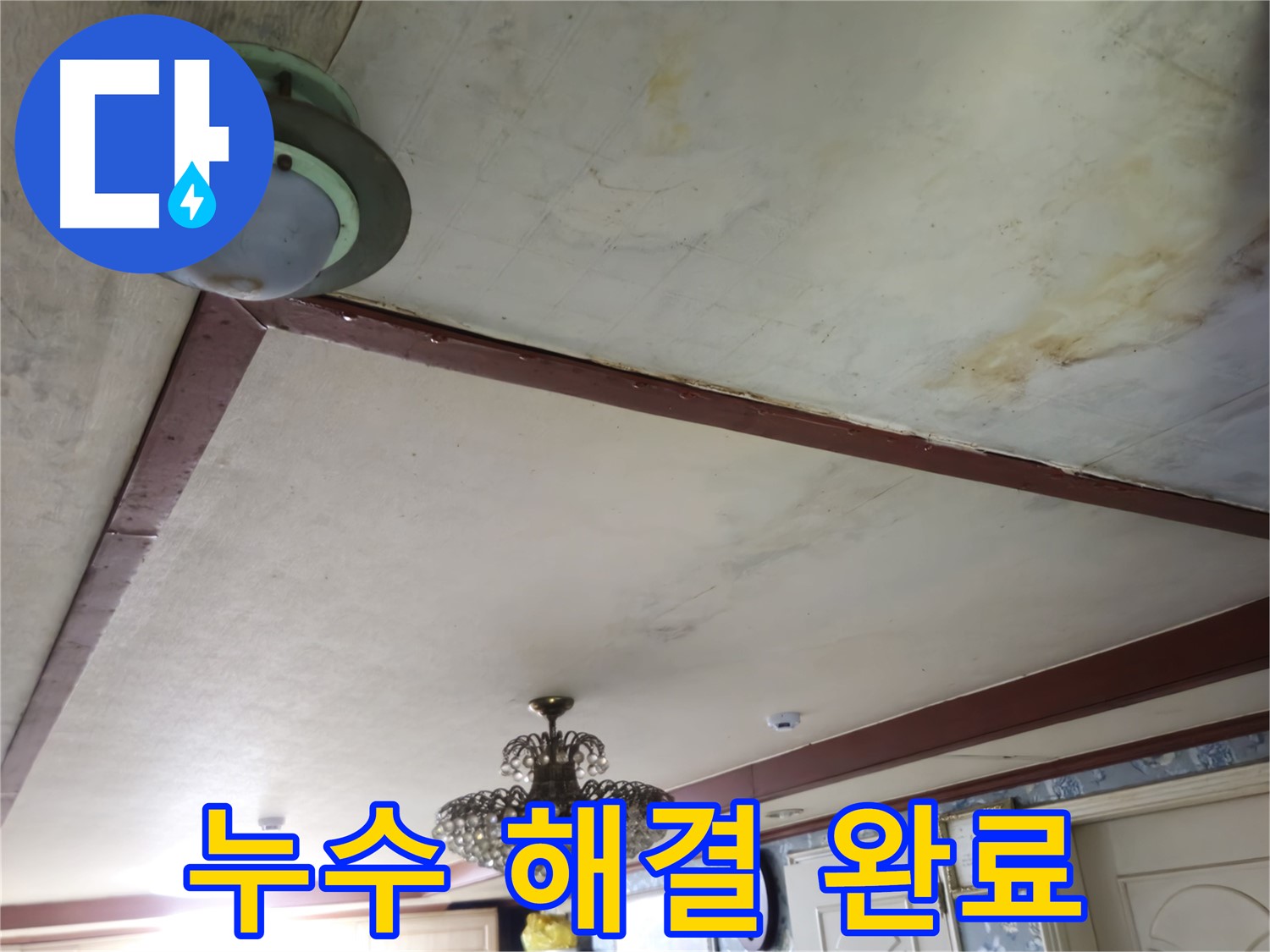 완벽한 누수 해결 - 최고의 기술력 제공